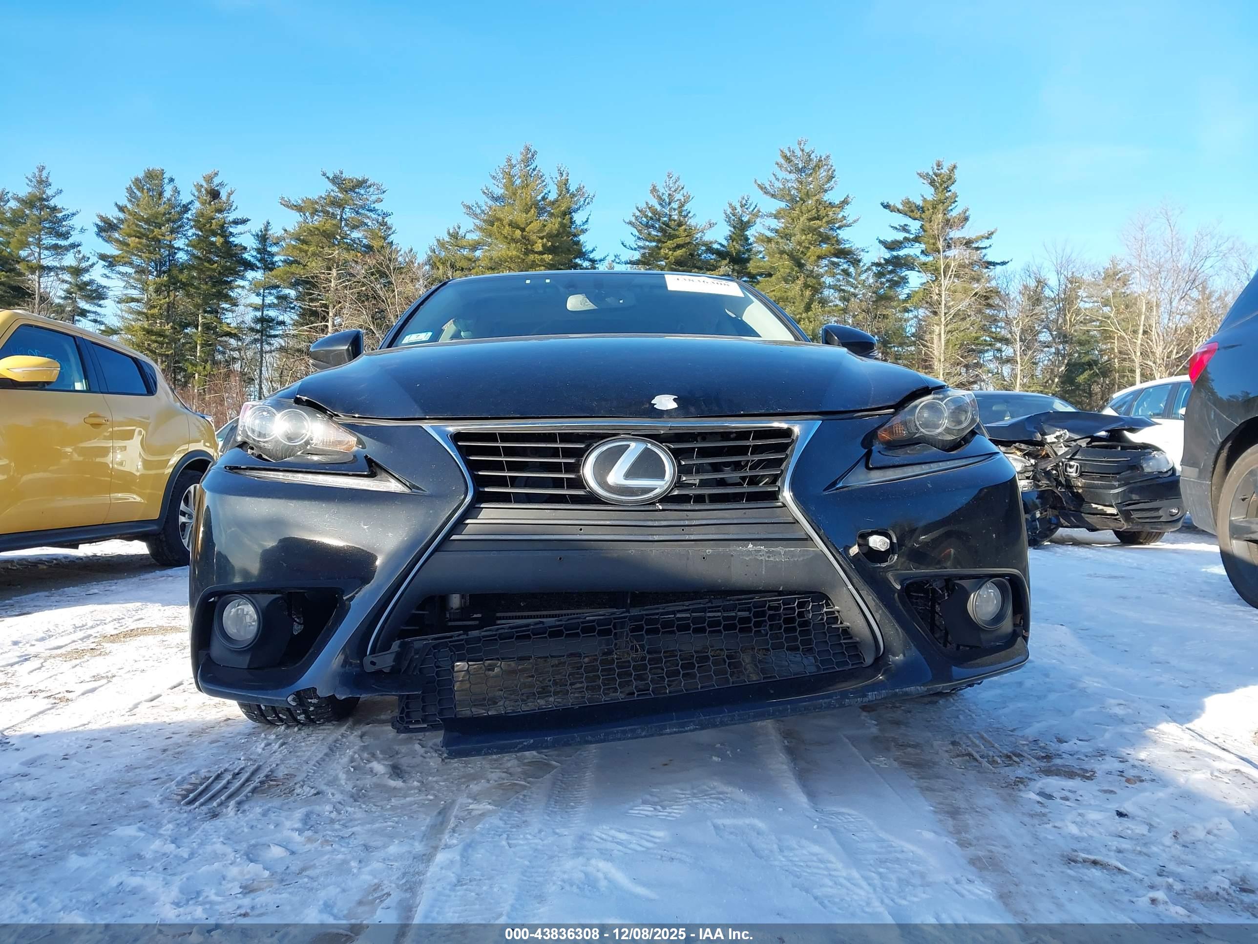 LEXUS IS image 6