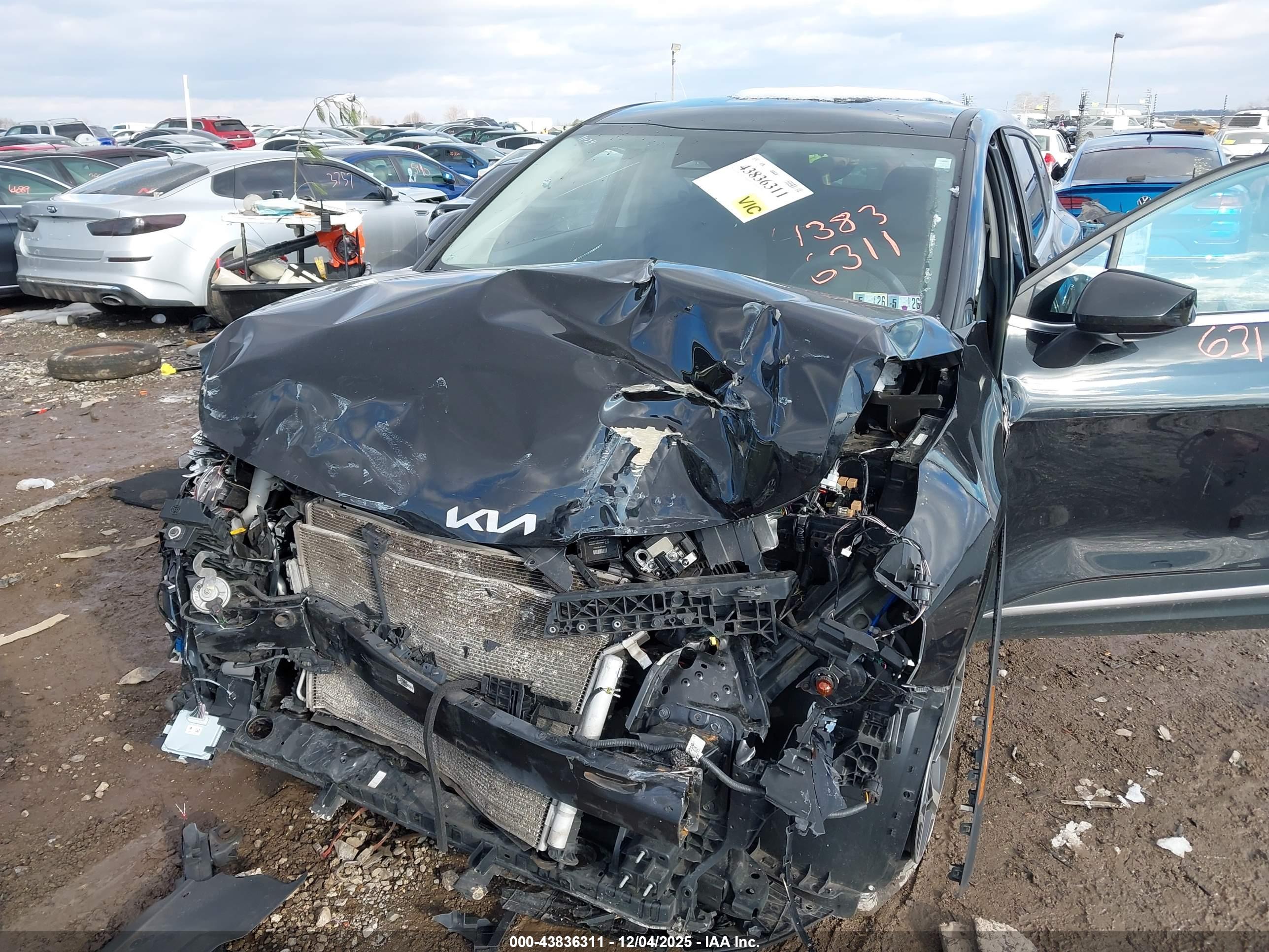 KIA SPORTAGE image 6