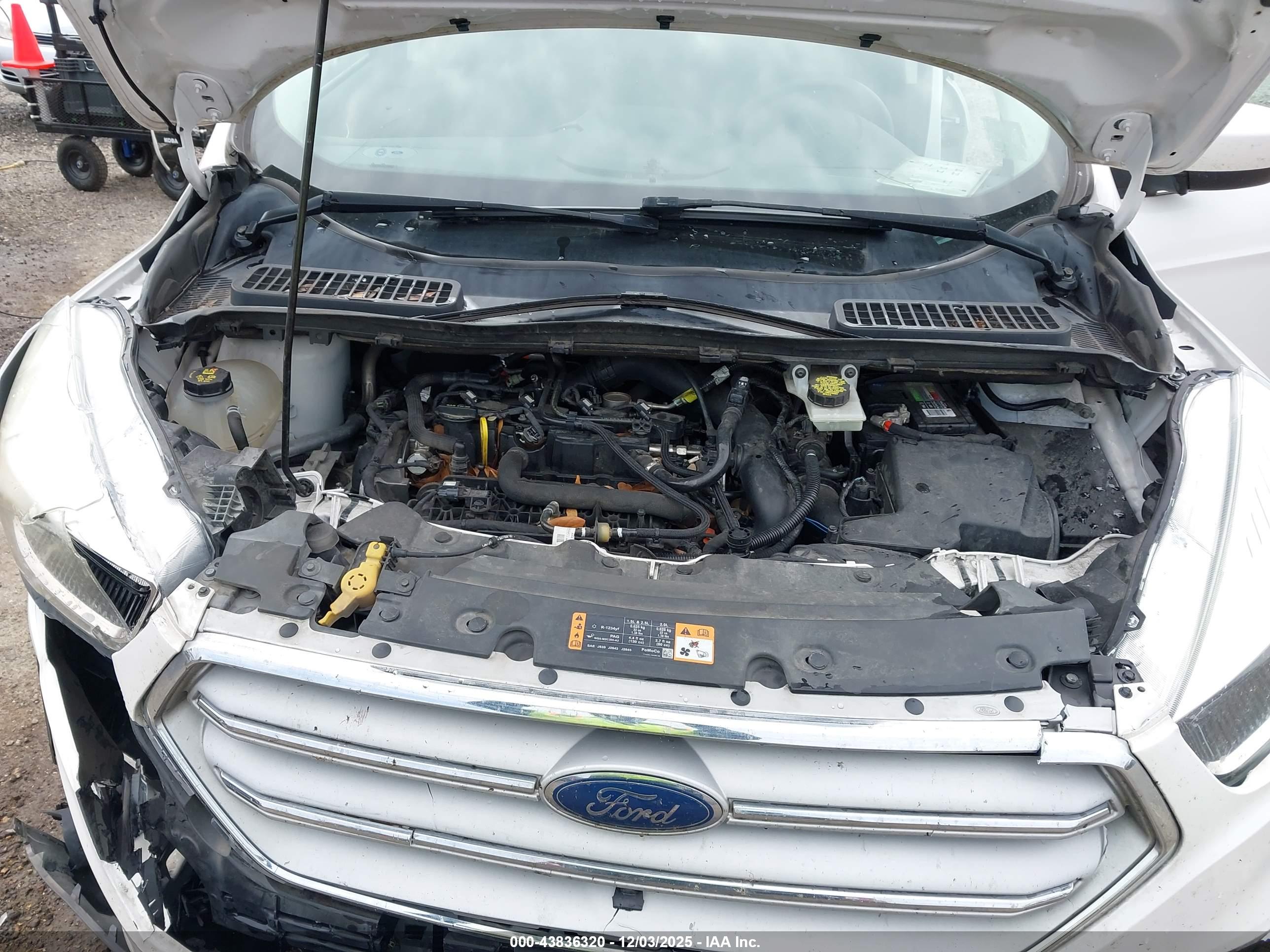FORD ESCAPE image 10