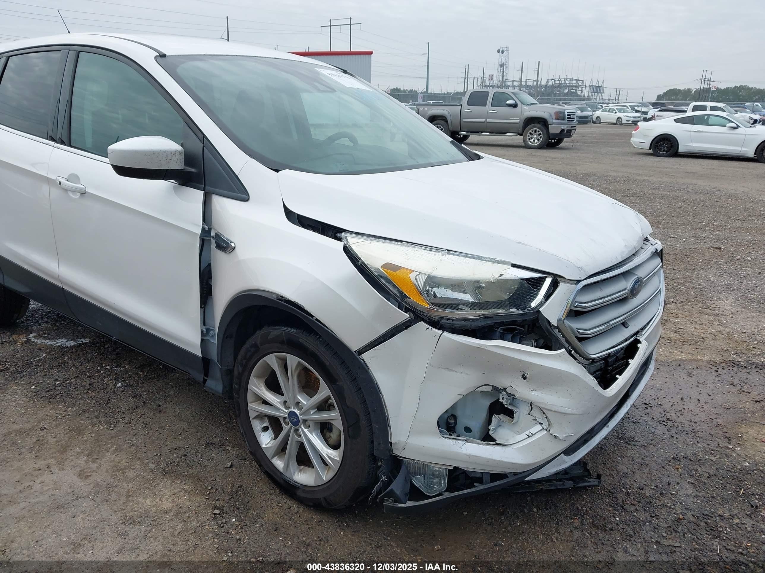 FORD ESCAPE image 6
