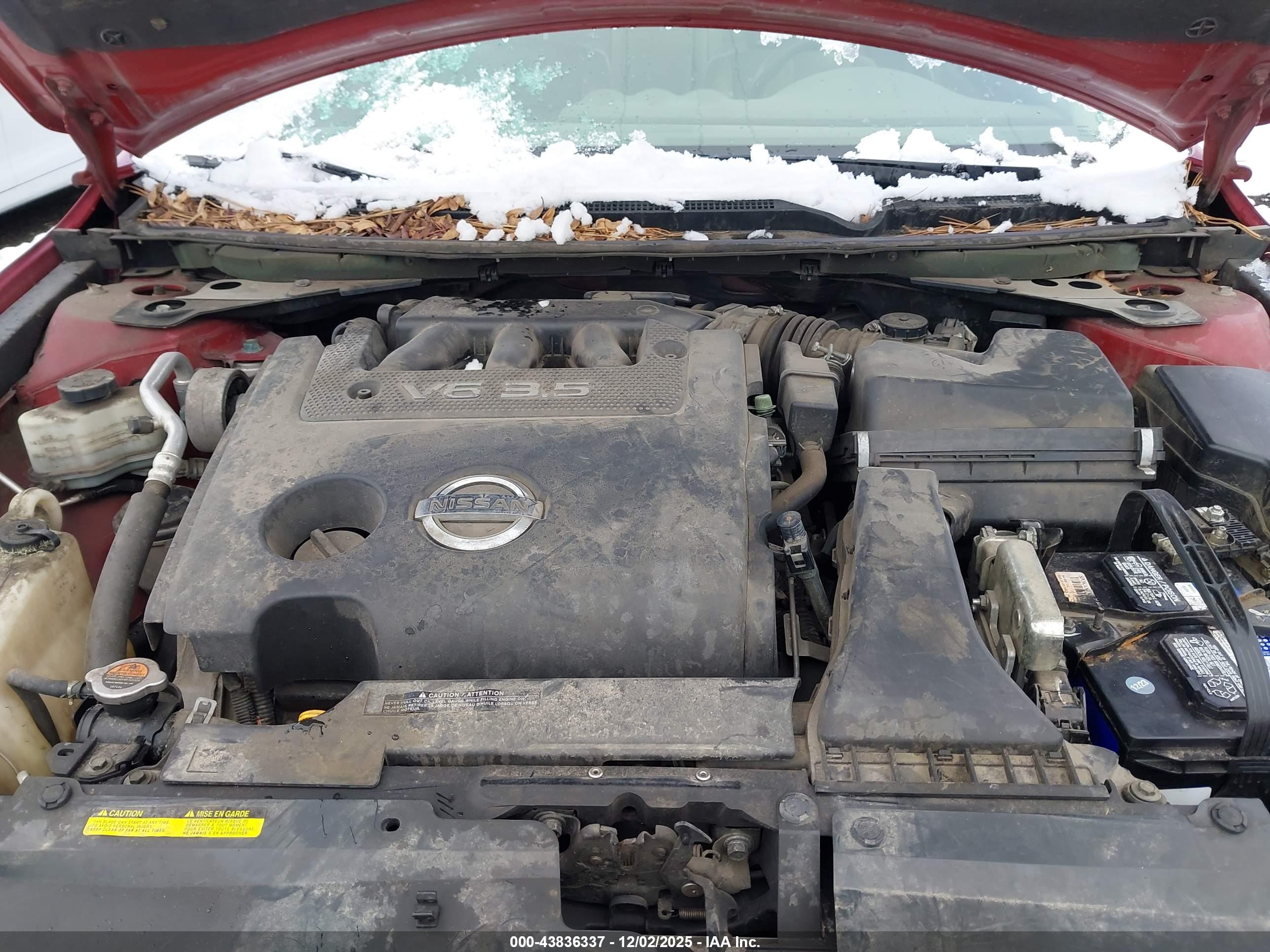 NISSAN ALTIMA image 10
