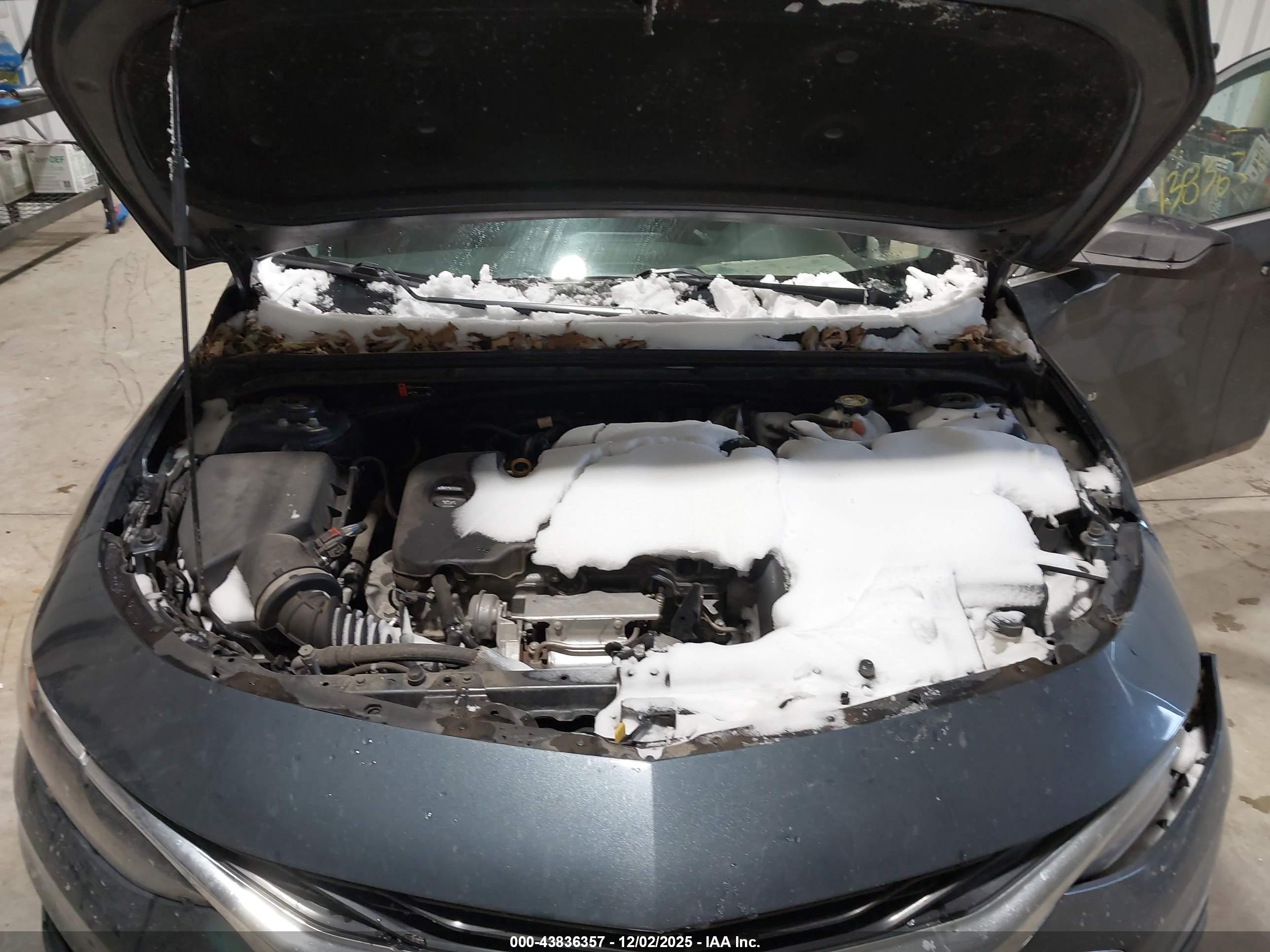 CHEVROLET MALIBU image 10