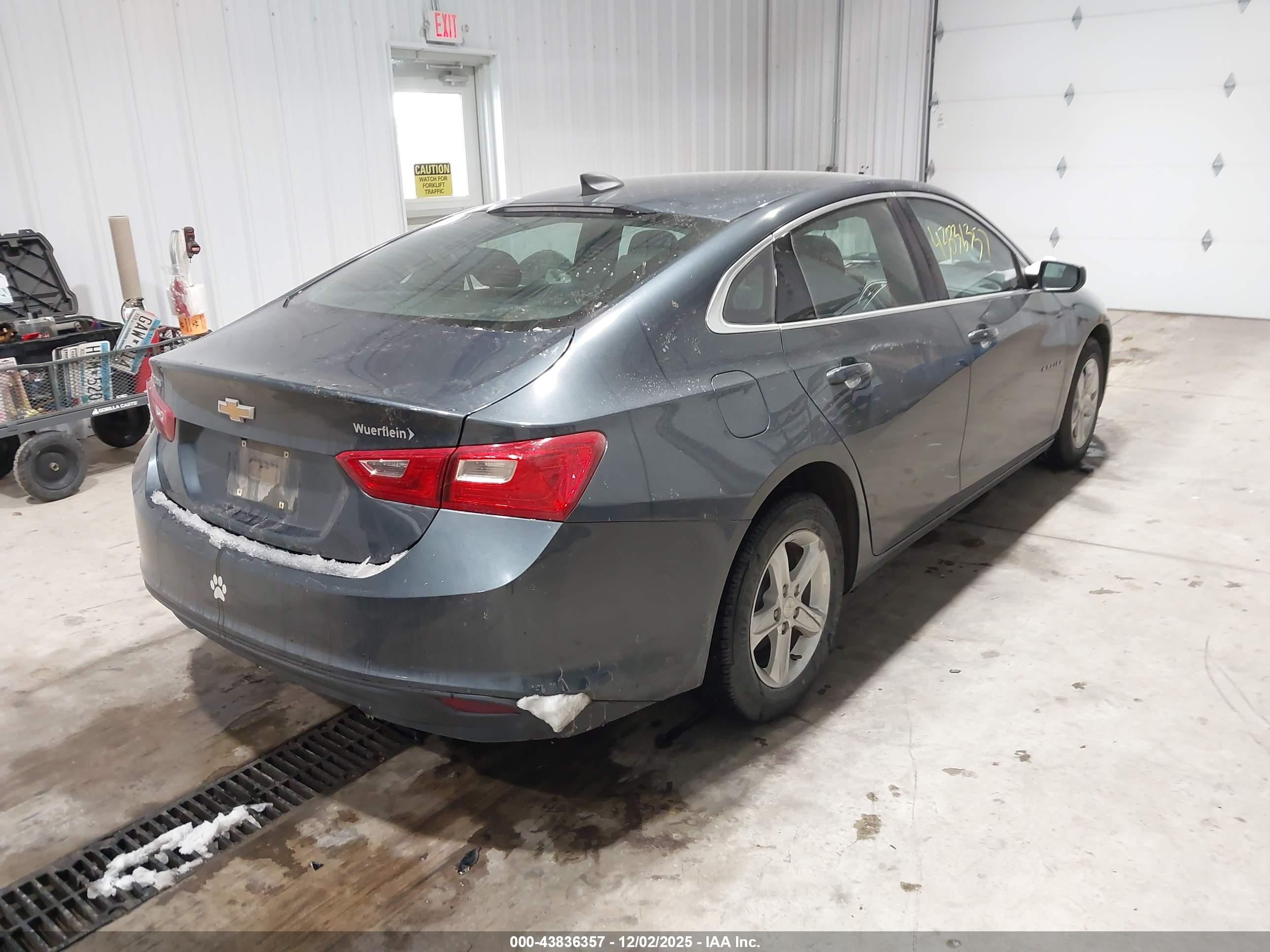 CHEVROLET MALIBU image 4