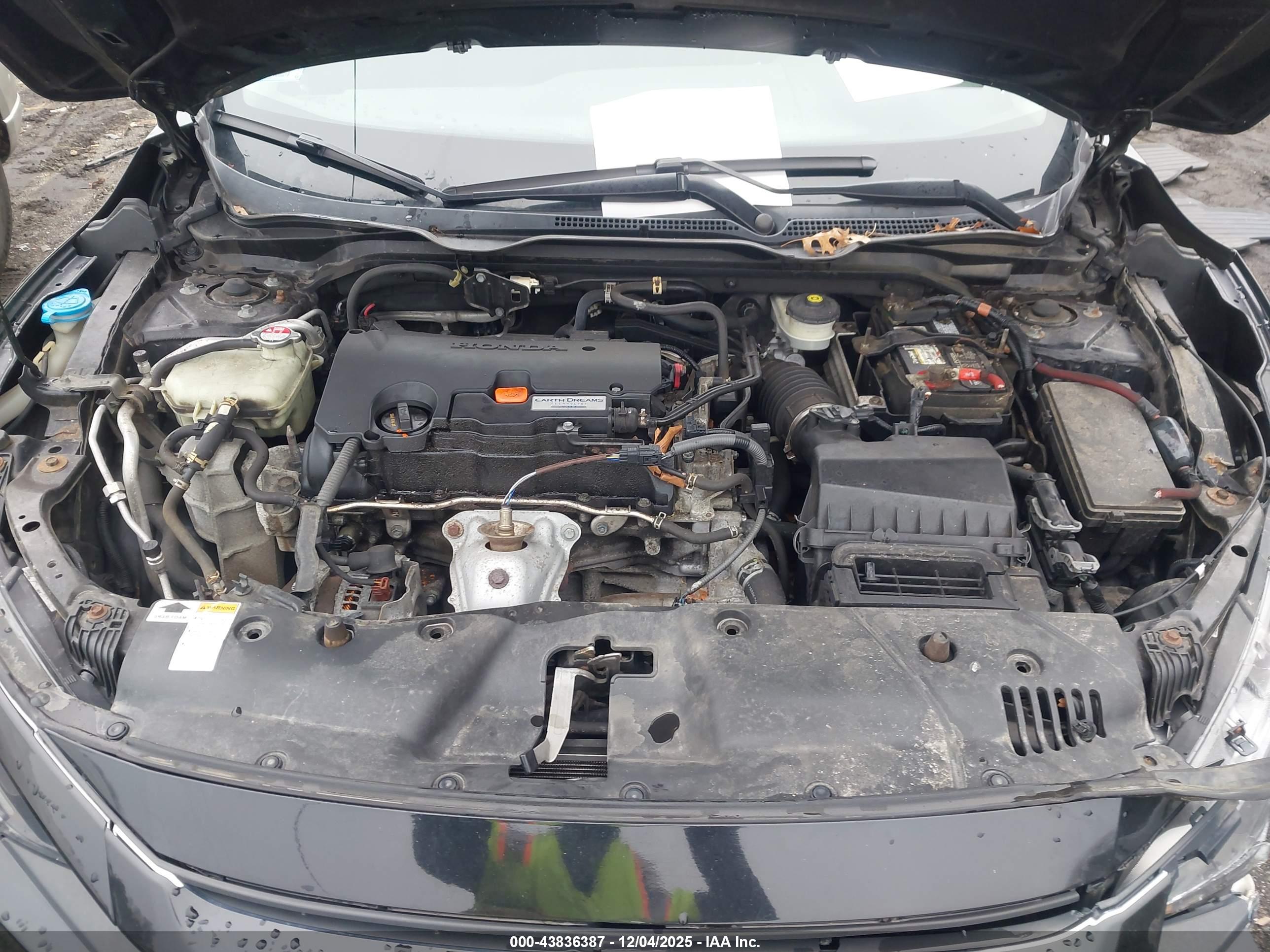 HONDA CIVIC image 10