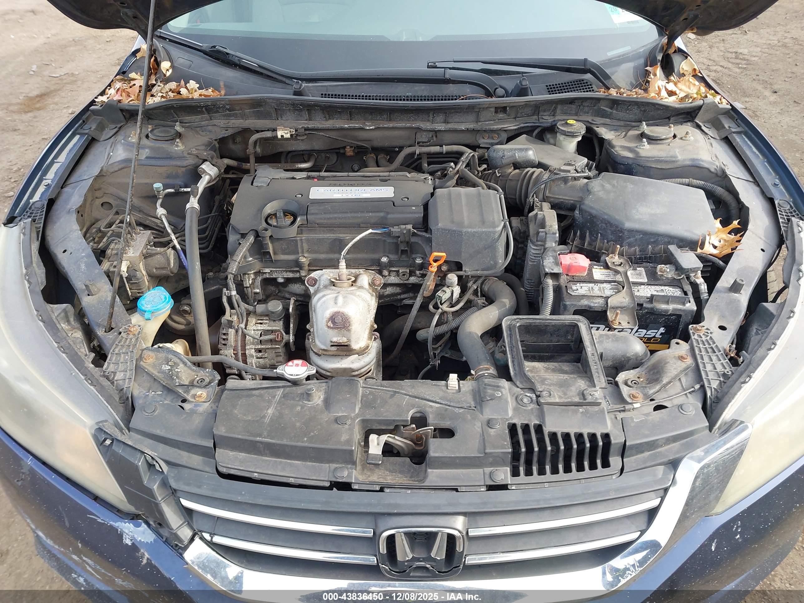 HONDA ACCORD image 10