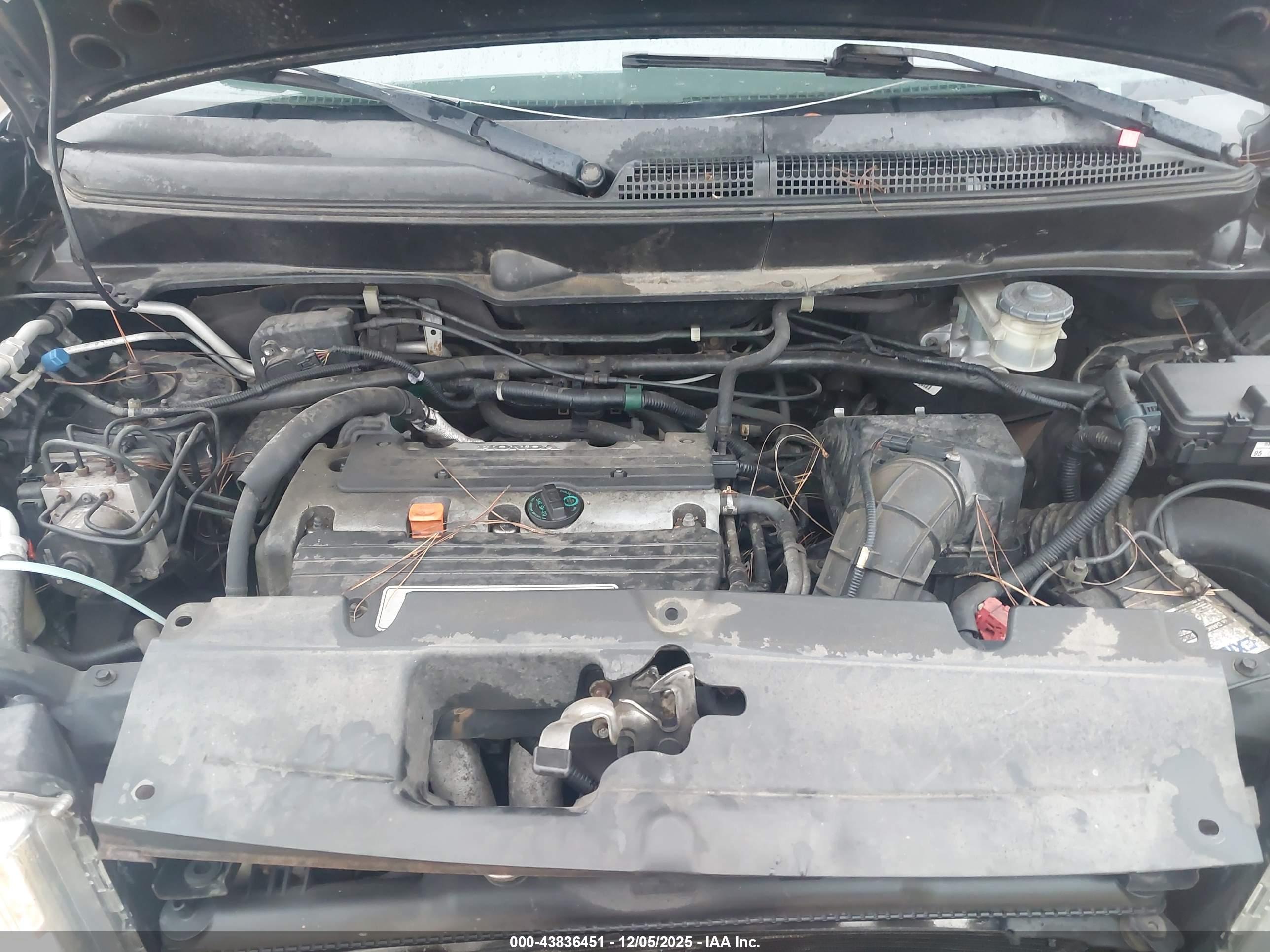 HONDA ELEMENT image 10