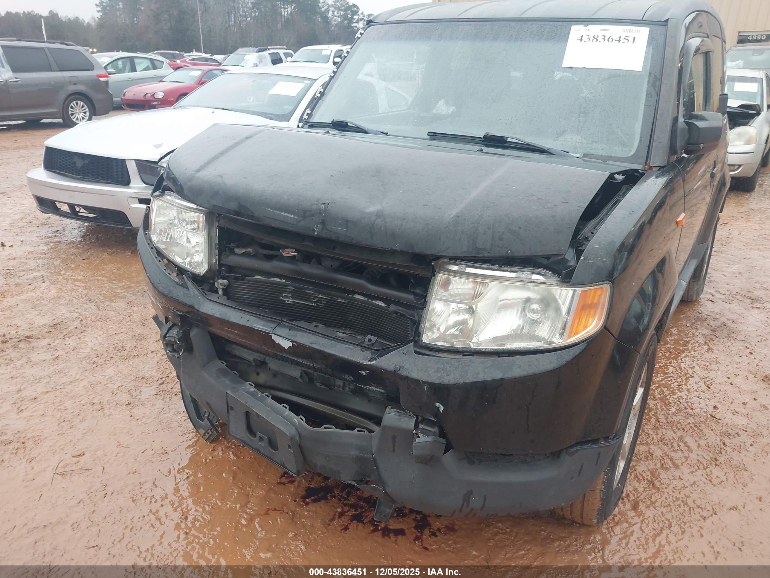 HONDA ELEMENT image 6
