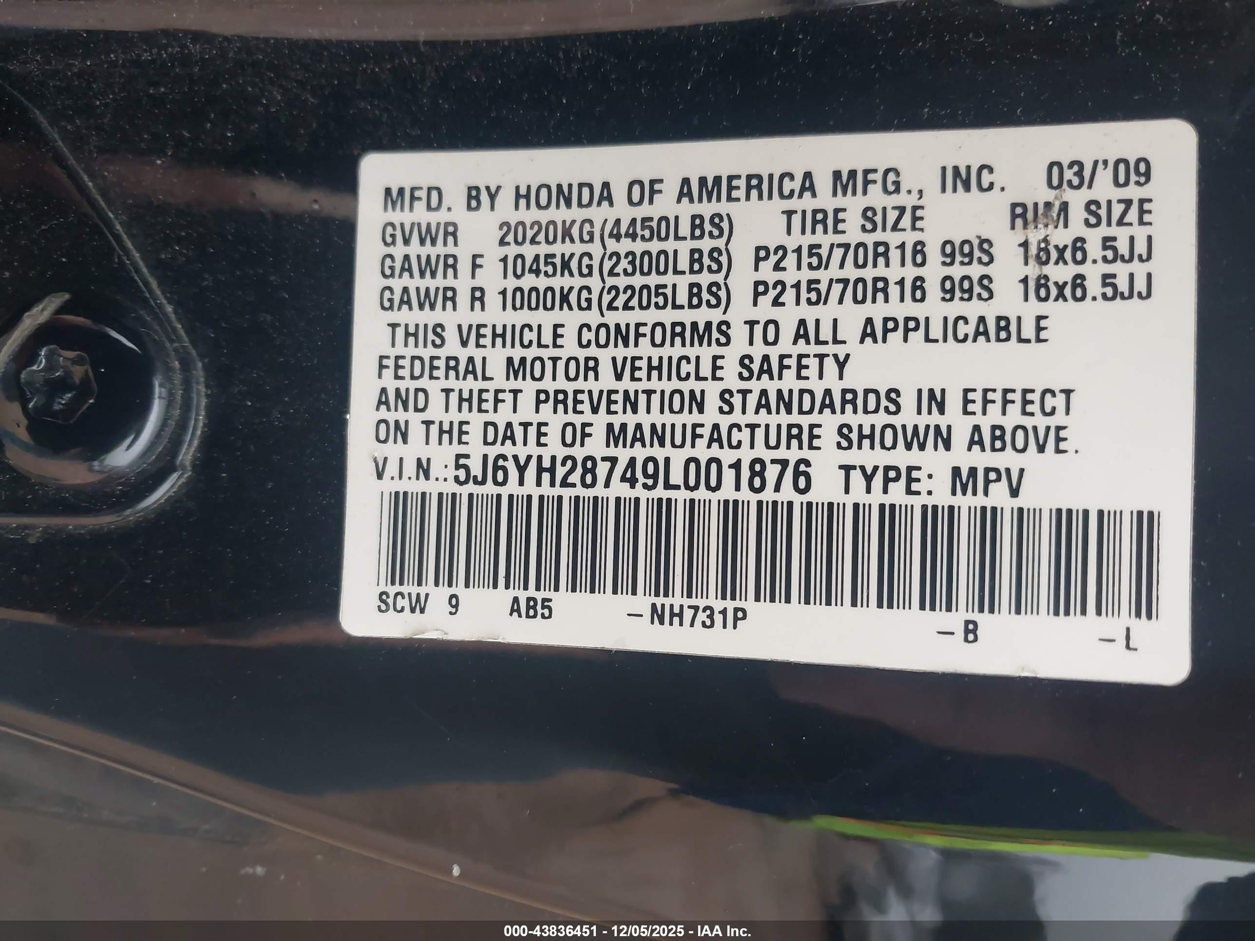 HONDA ELEMENT image 9