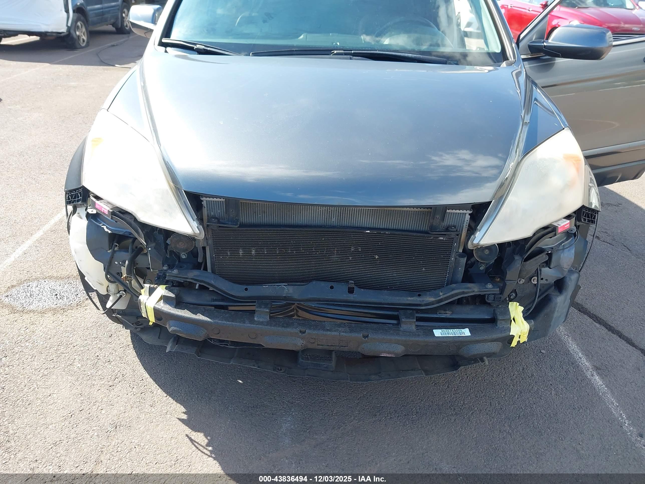 HONDA CR-V image 6