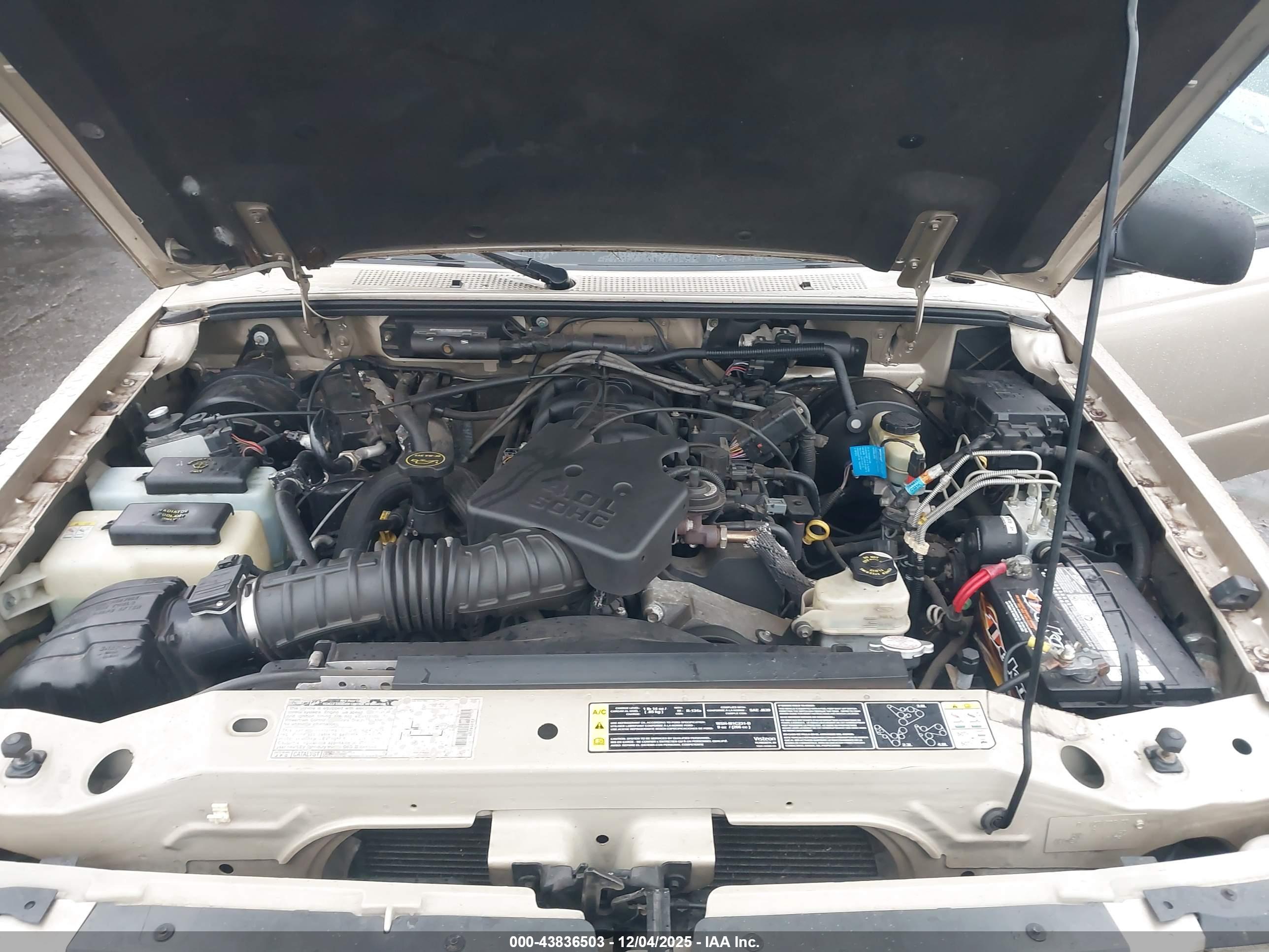 FORD RANGER image 10