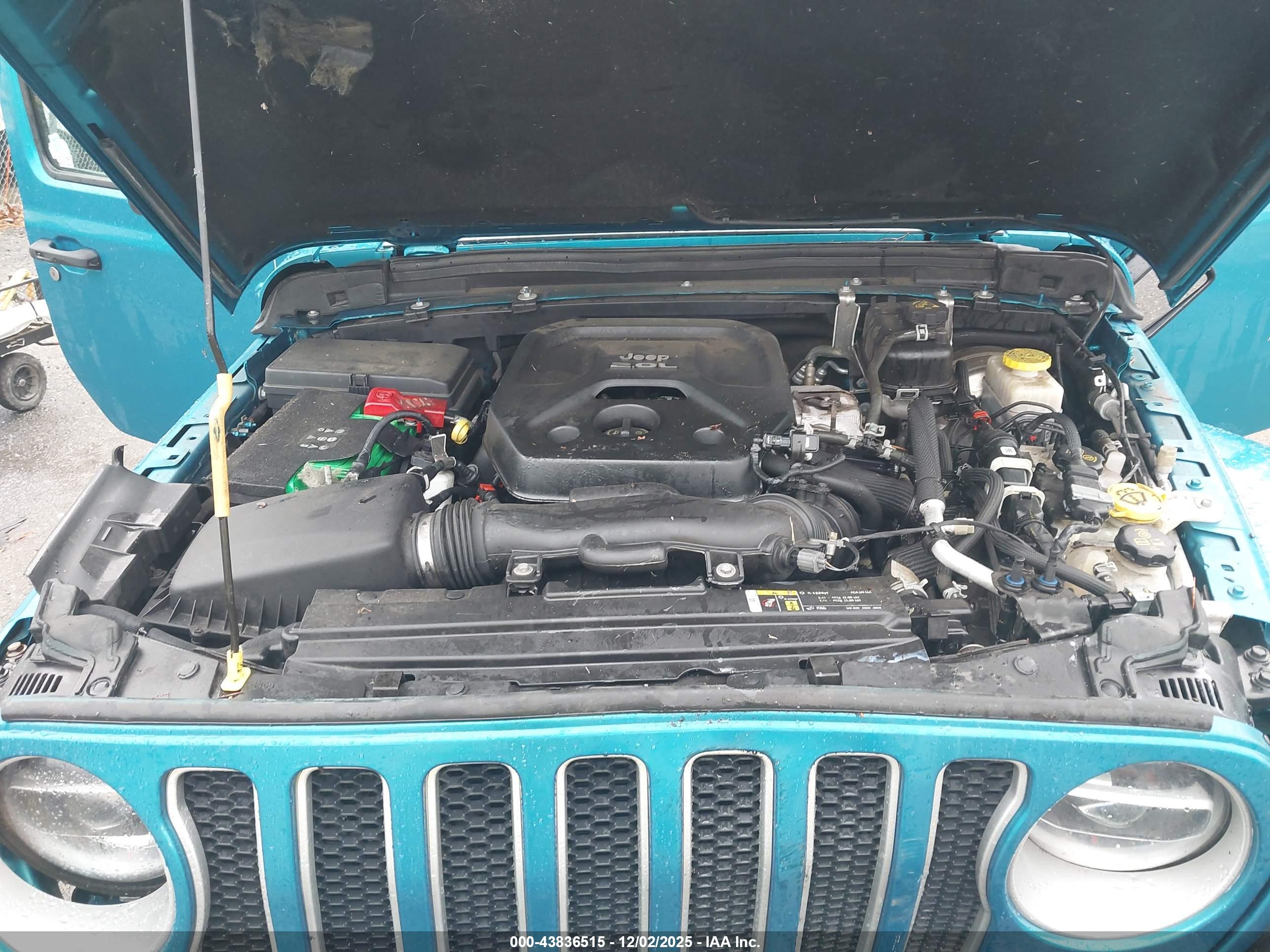 JEEP WRANGLER image 10