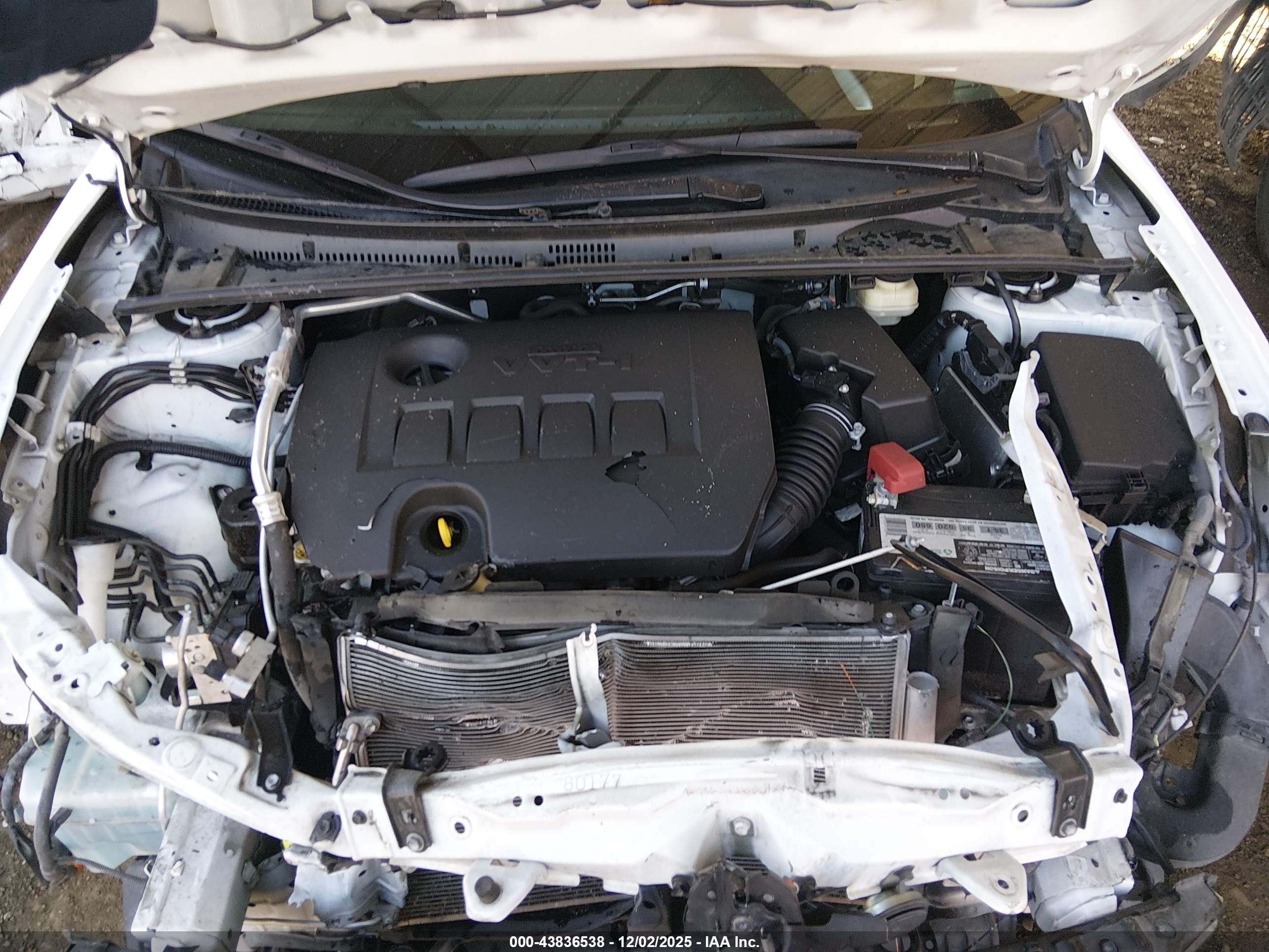 TOYOTA COROLLA image 10