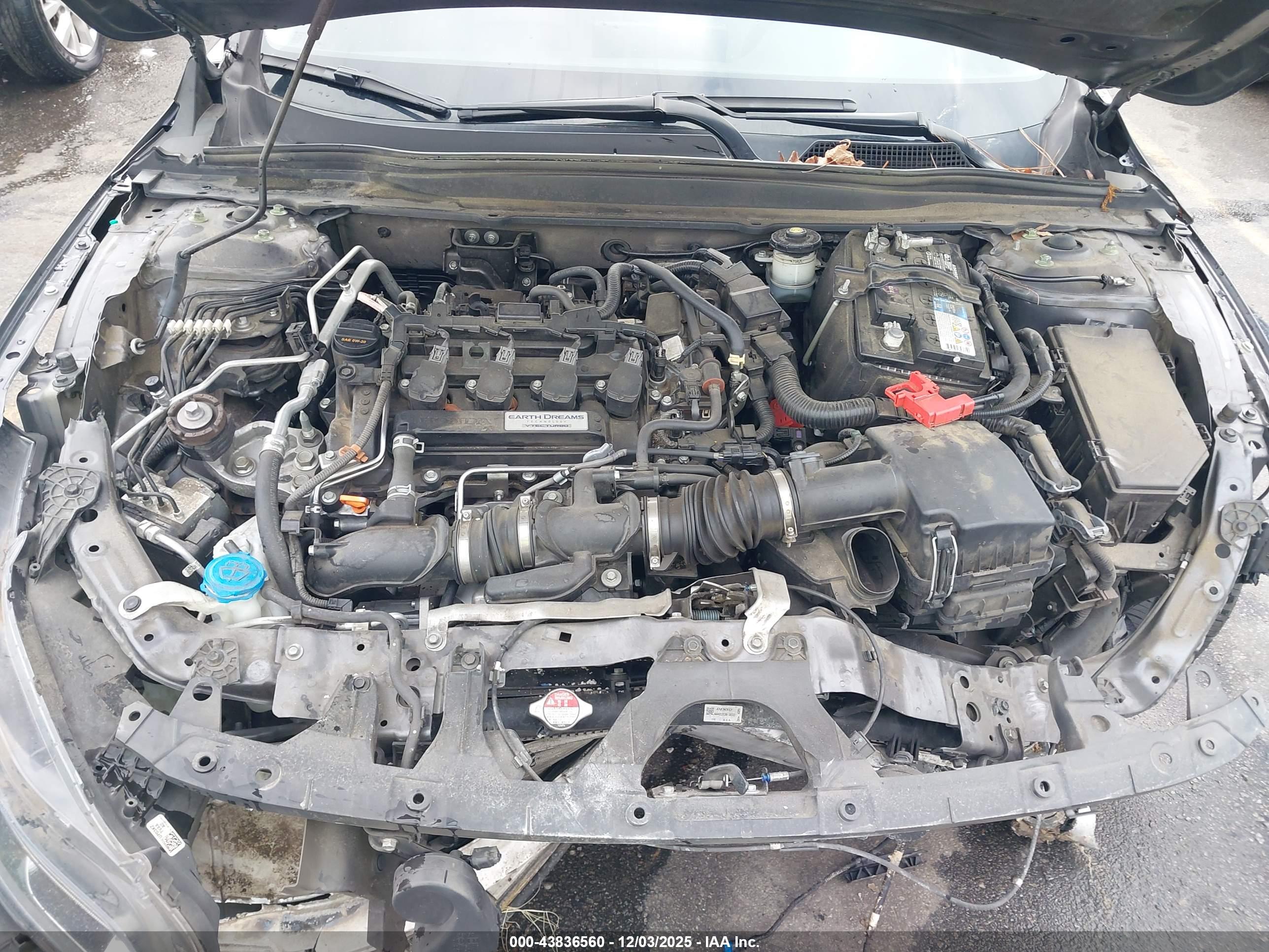 HONDA ACCORD image 10