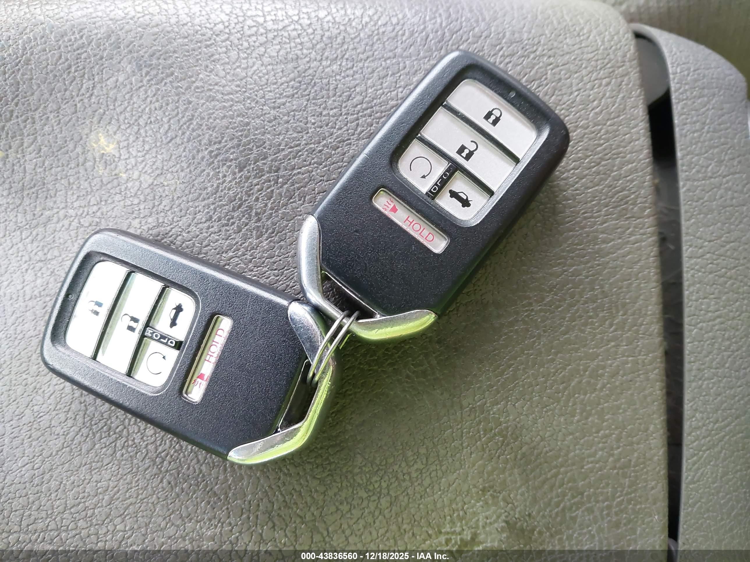 HONDA ACCORD image 11
