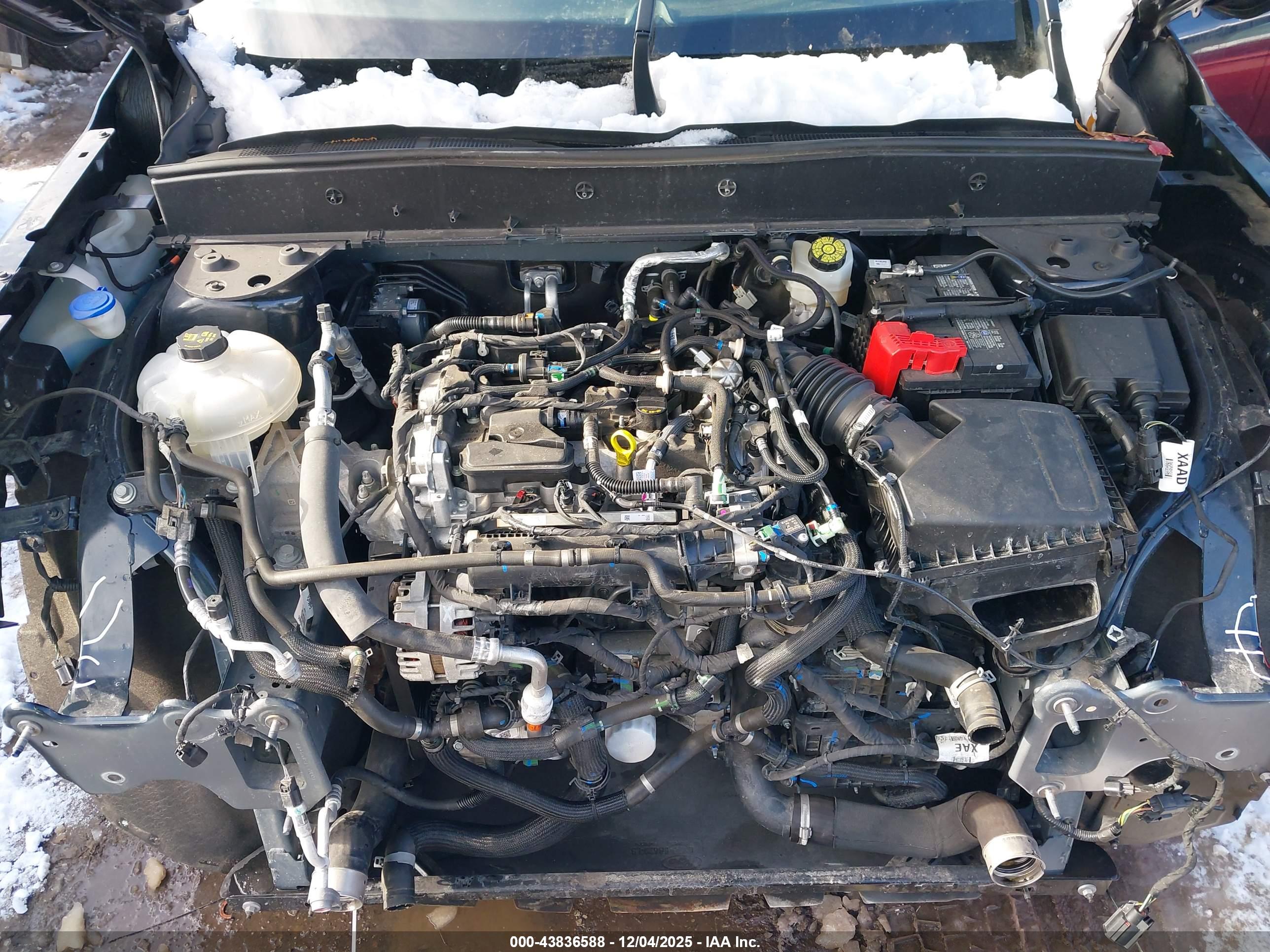 FORD BRONCO image 10