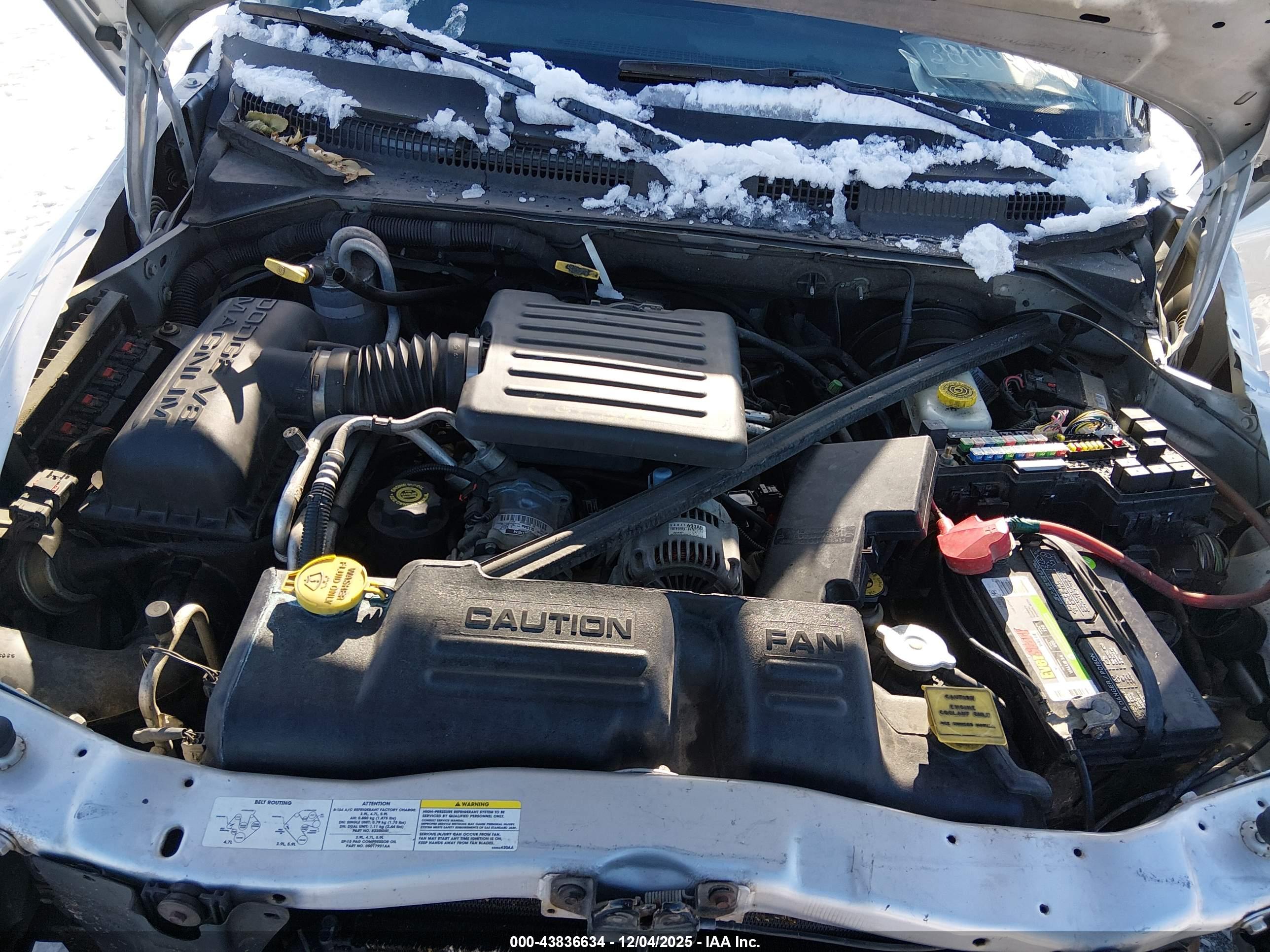 DODGE DAKOTA image 10