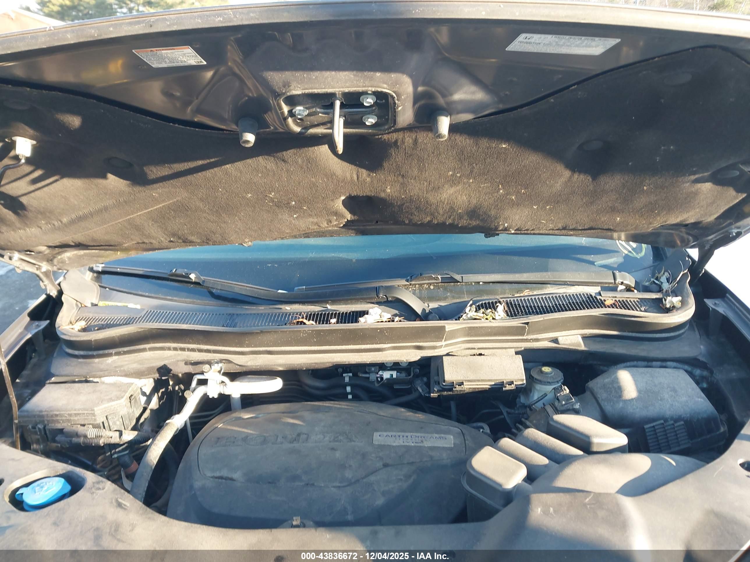 HONDA PILOT image 10