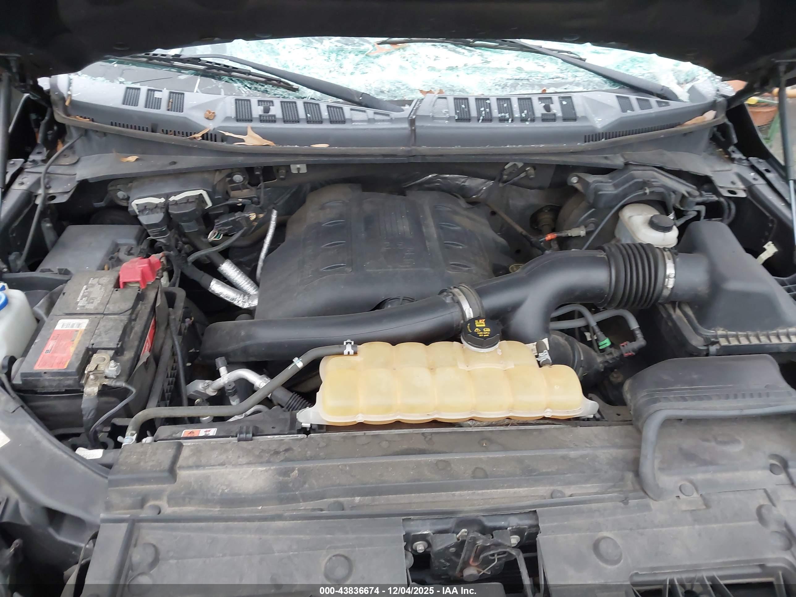 FORD F-150 image 10
