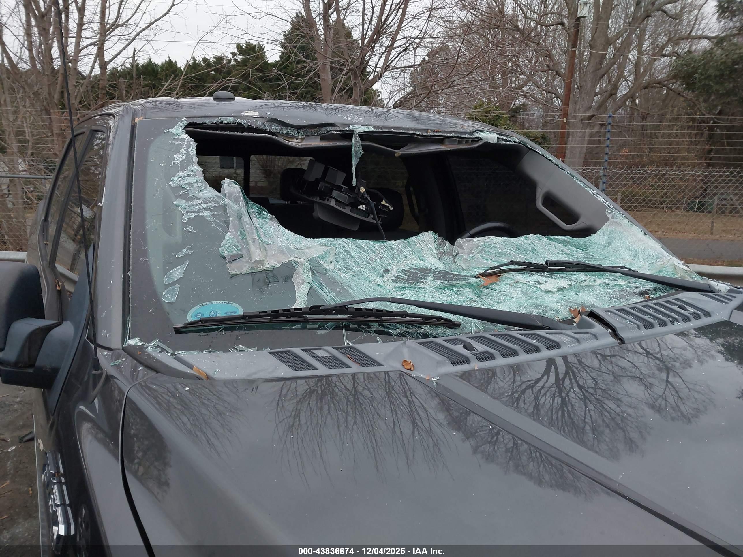 FORD F-150 image 6