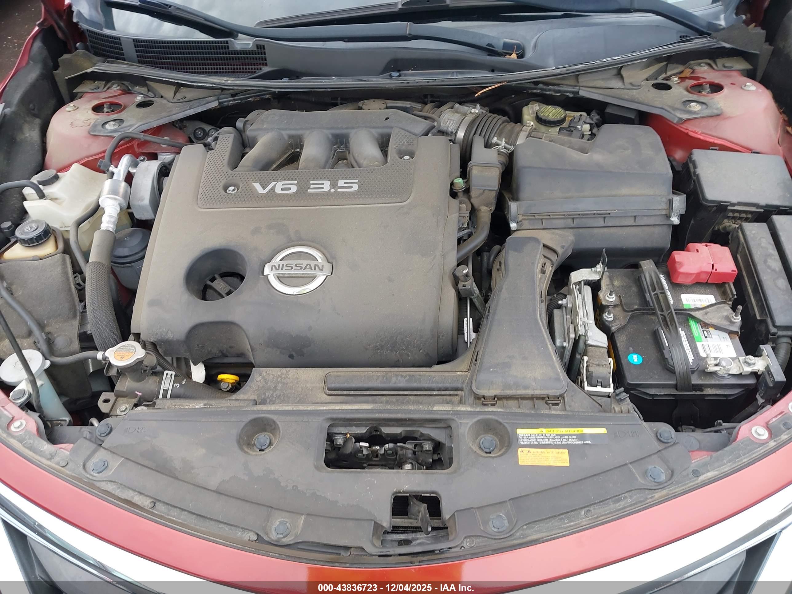 NISSAN ALTIMA image 10