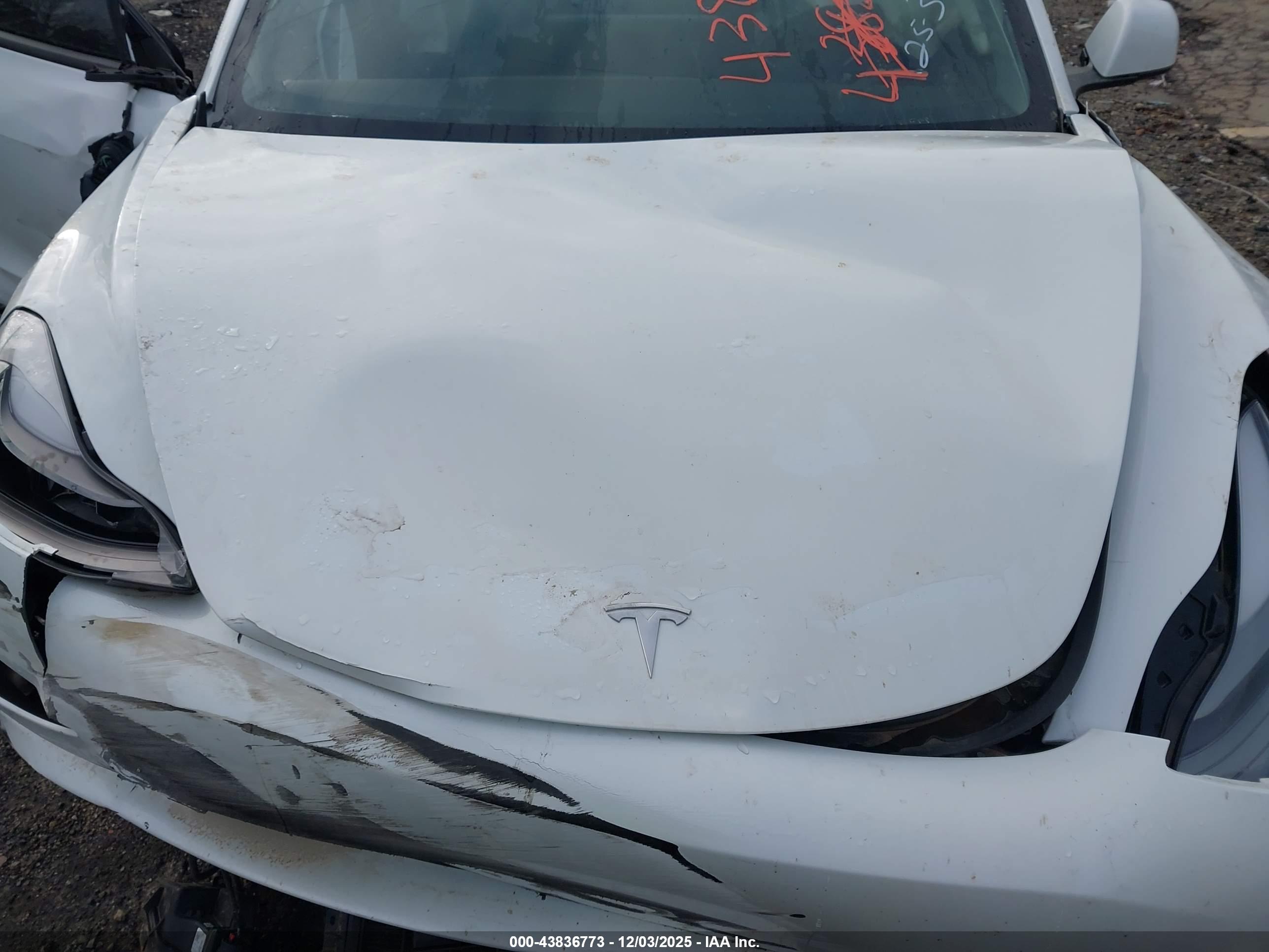 TESLA MODEL image 10