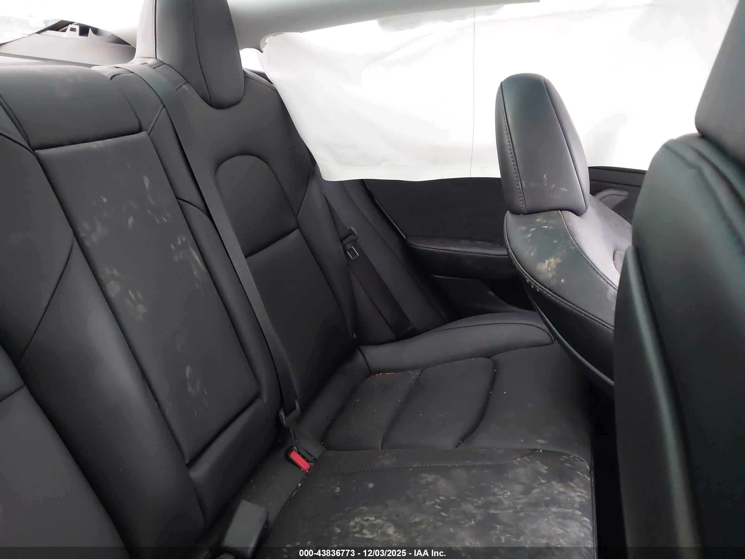 TESLA MODEL image 8
