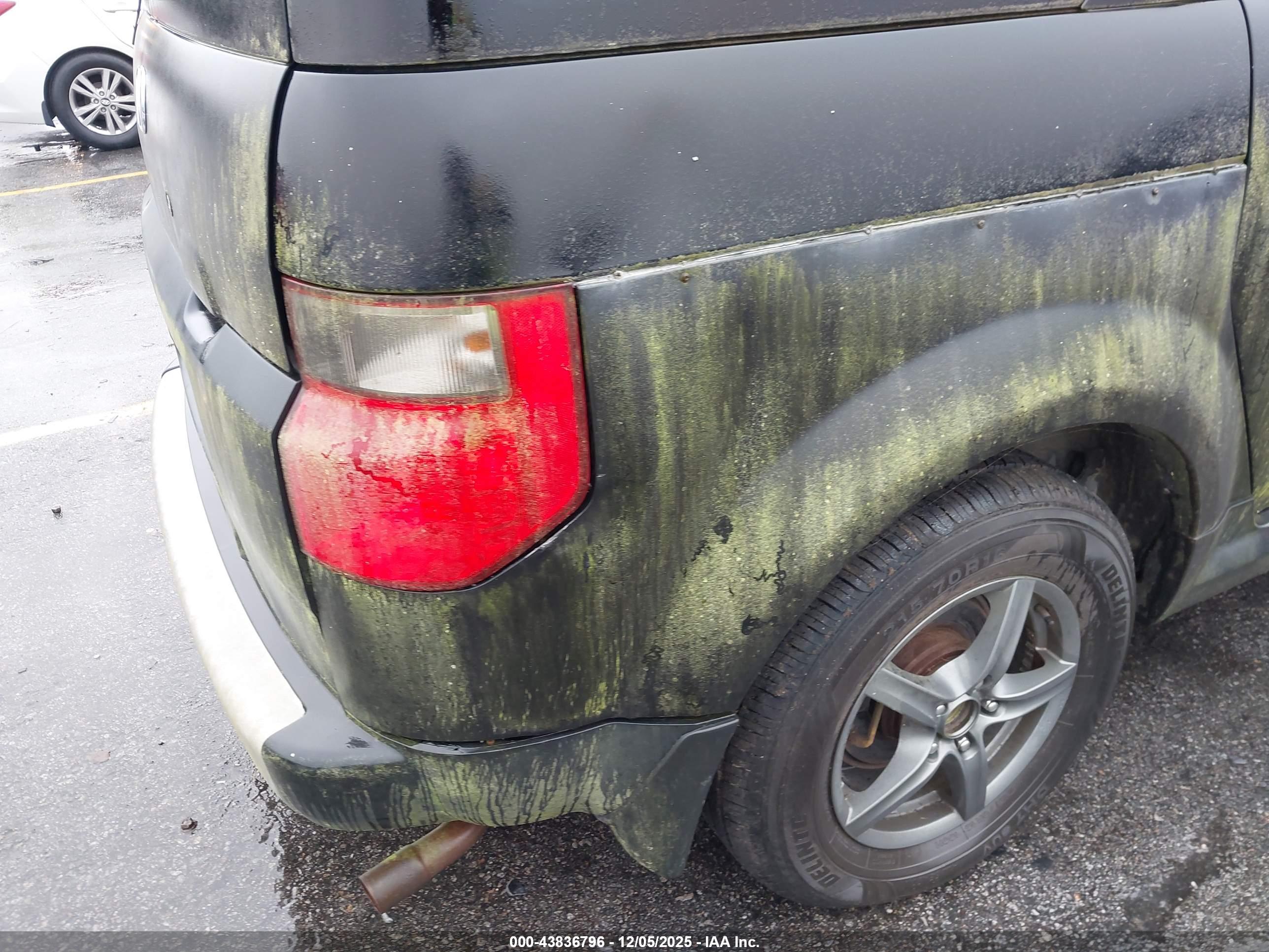 HONDA ELEMENT image 6