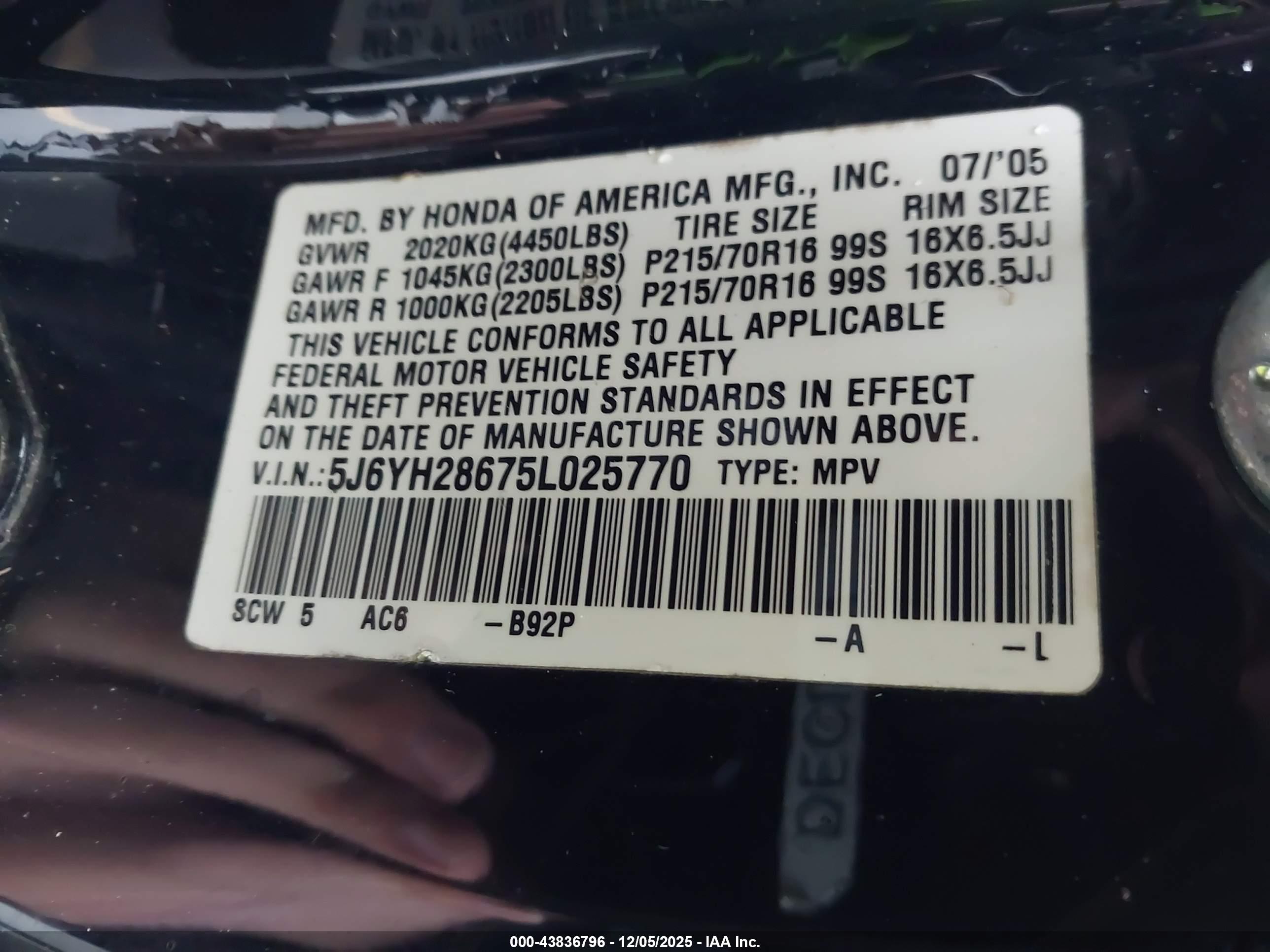 HONDA ELEMENT image 9