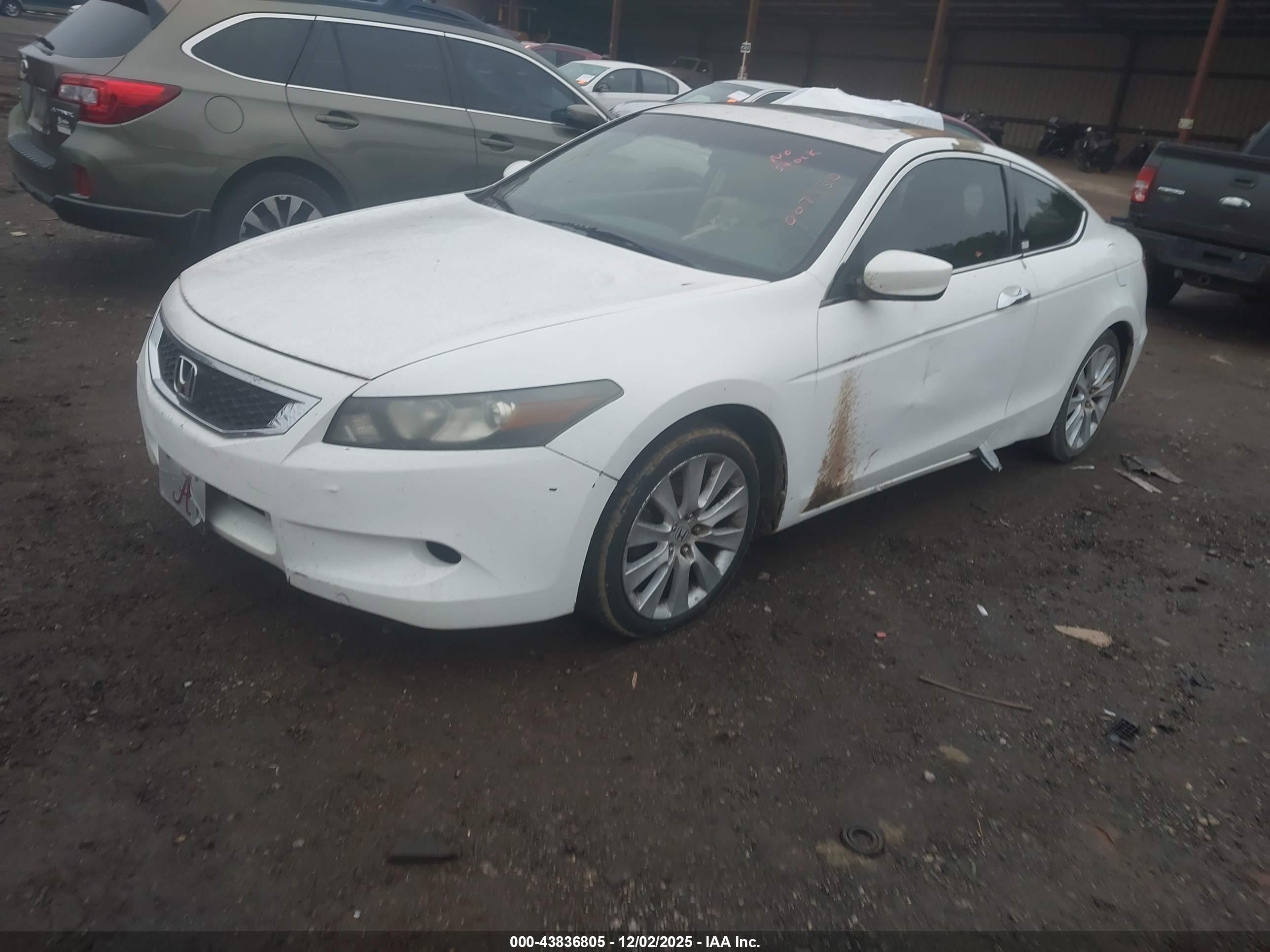 HONDA ACCORD image 2