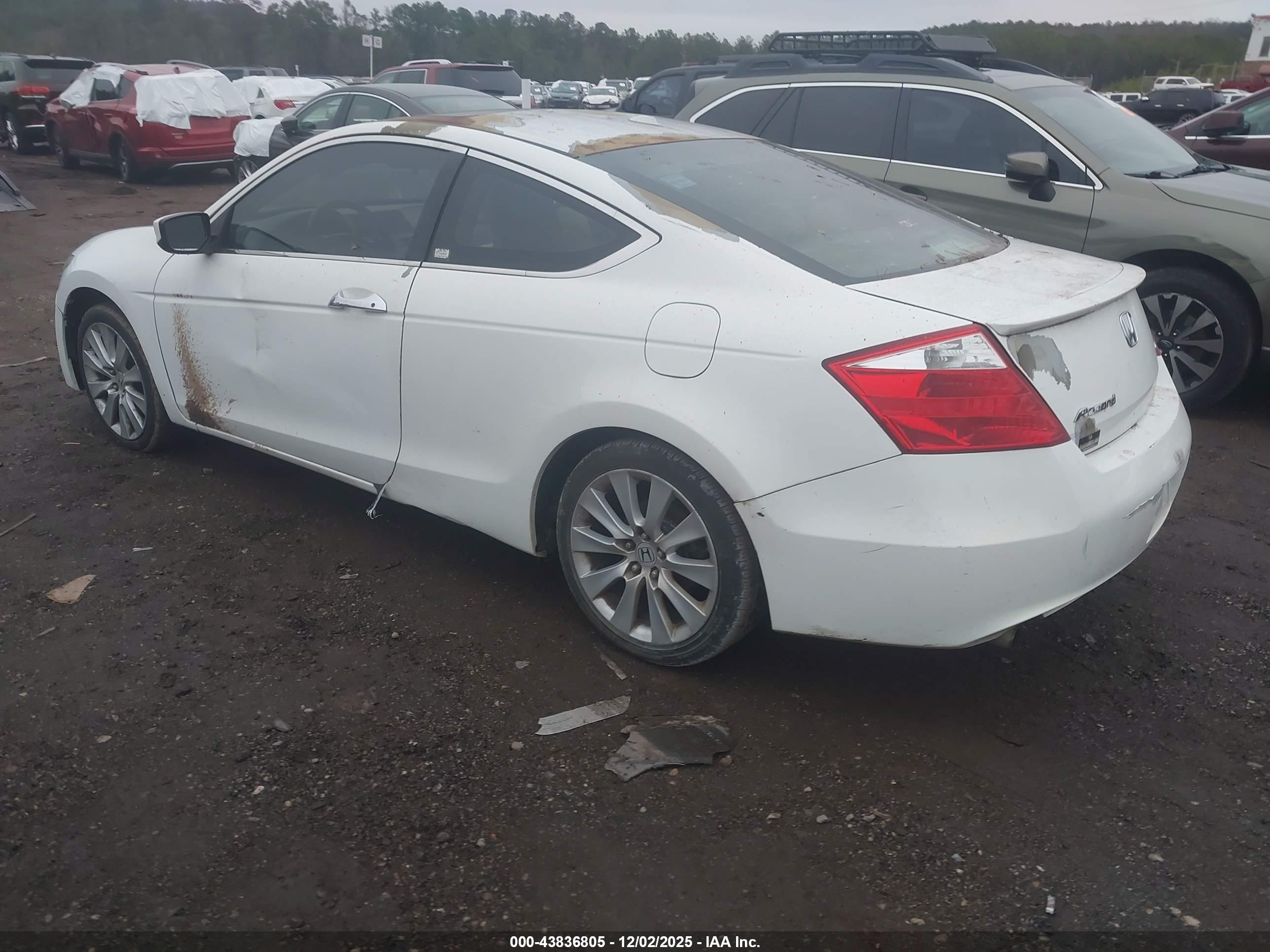 HONDA ACCORD image 3