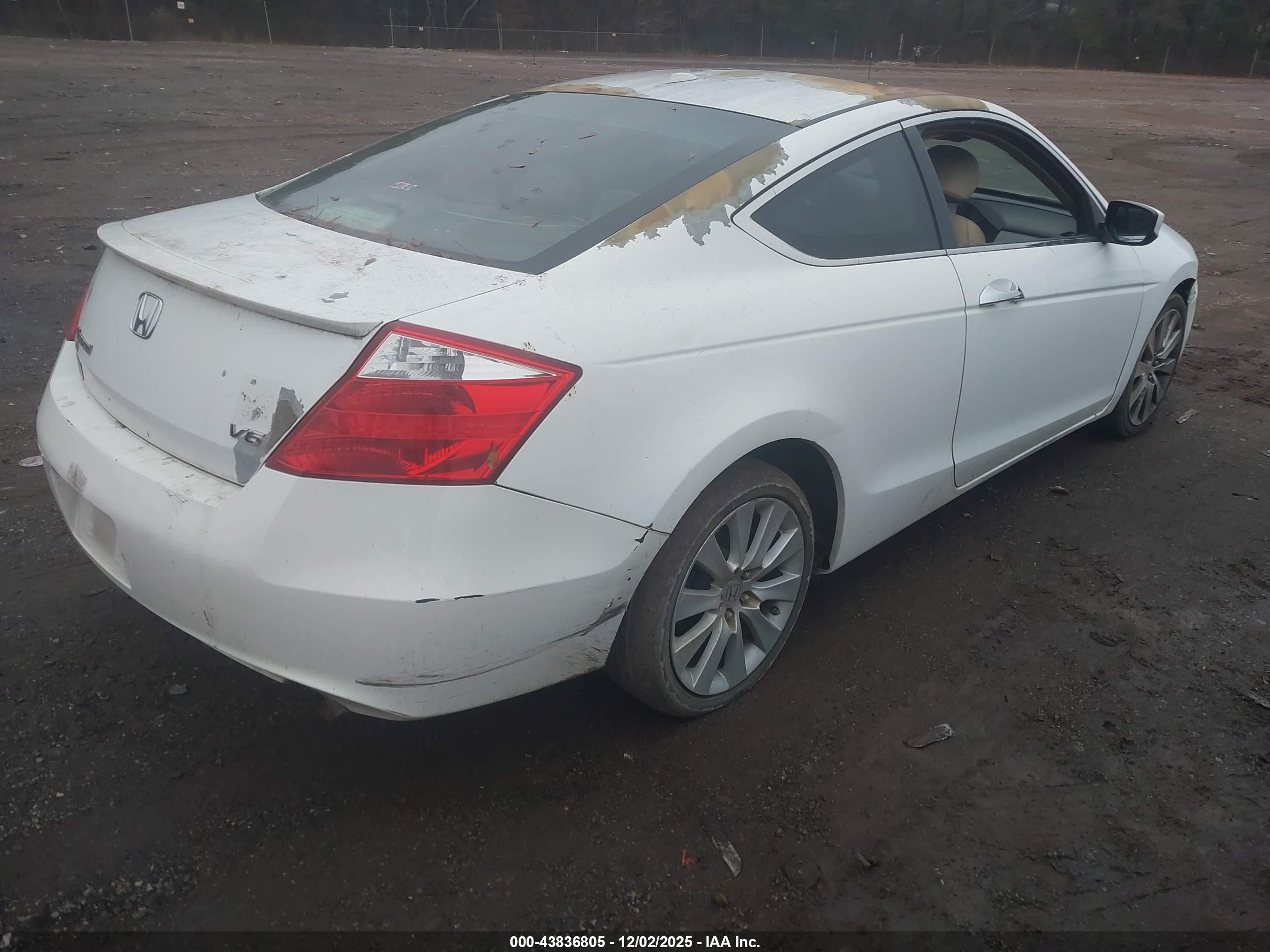 HONDA ACCORD image 4