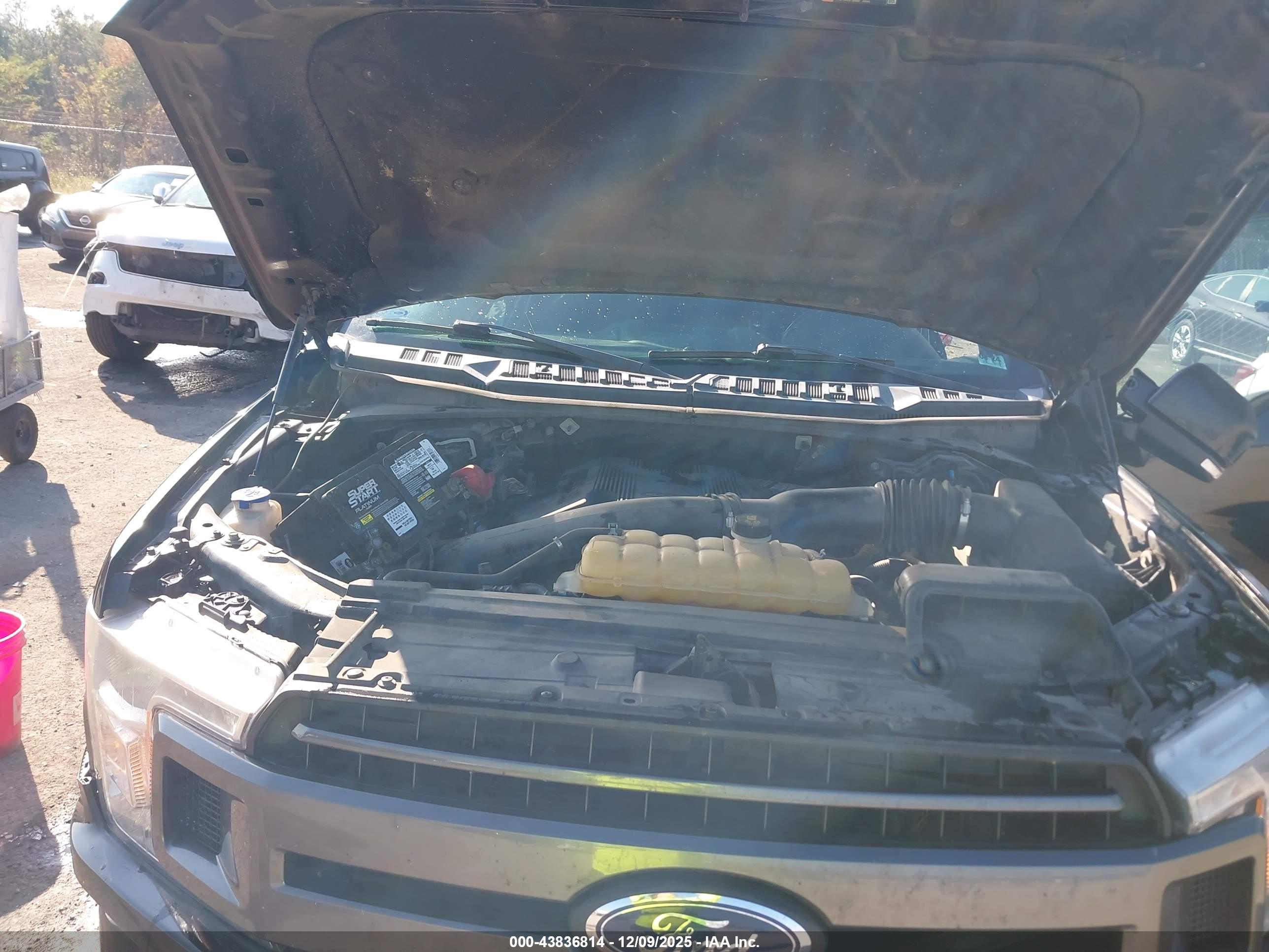 FORD F-150 image 10