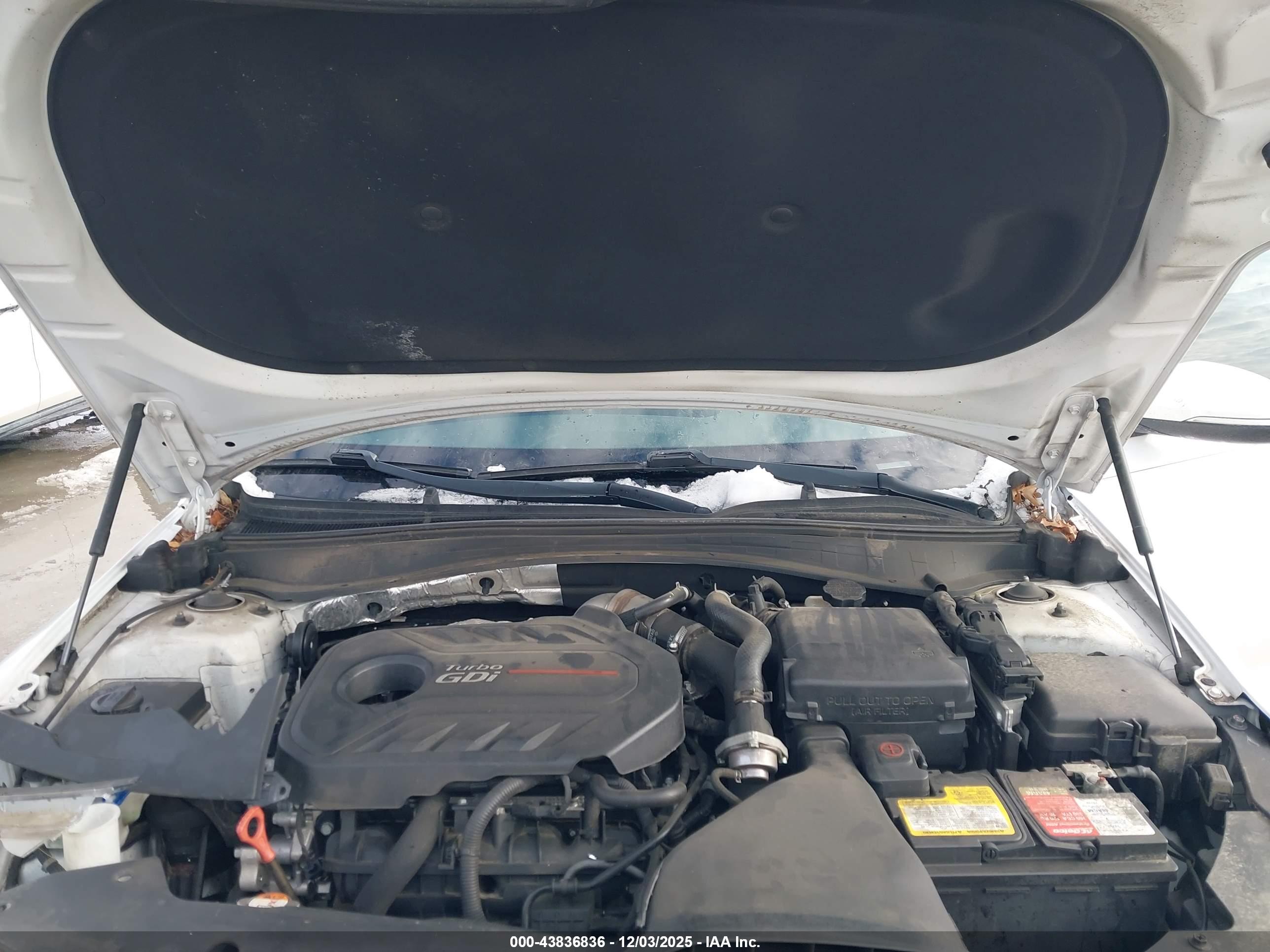 KIA OPTIMA image 10