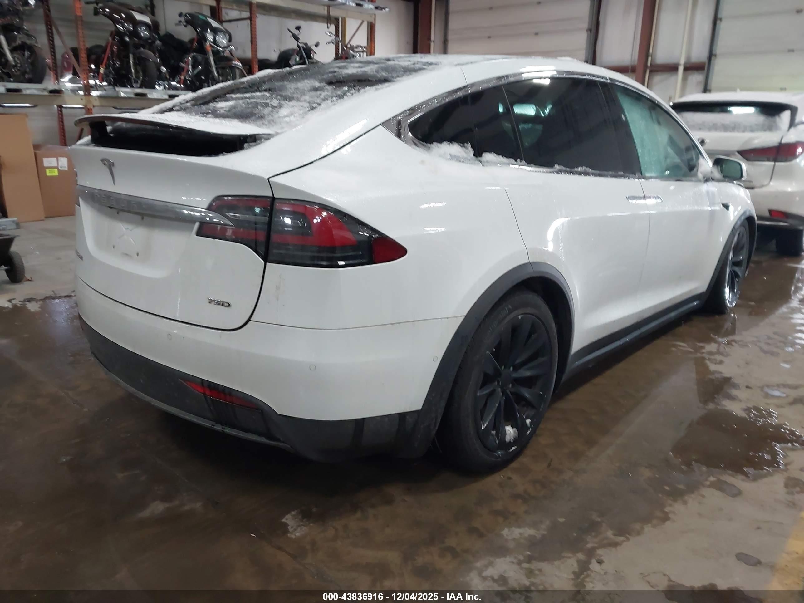 TESLA MODEL image 4