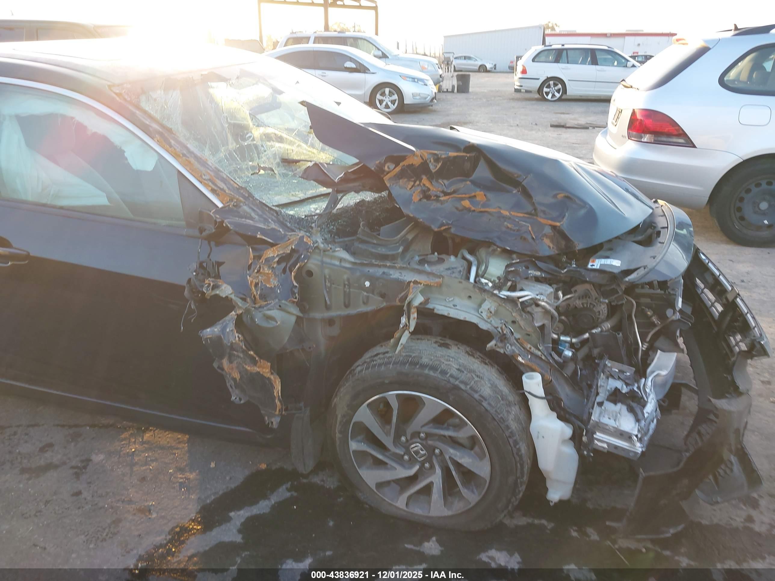 HONDA CIVIC image 6