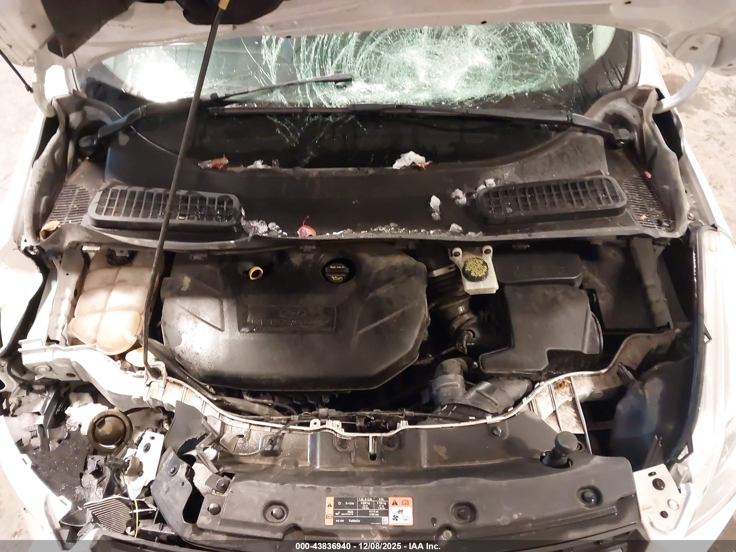 FORD ESCAPE image 10