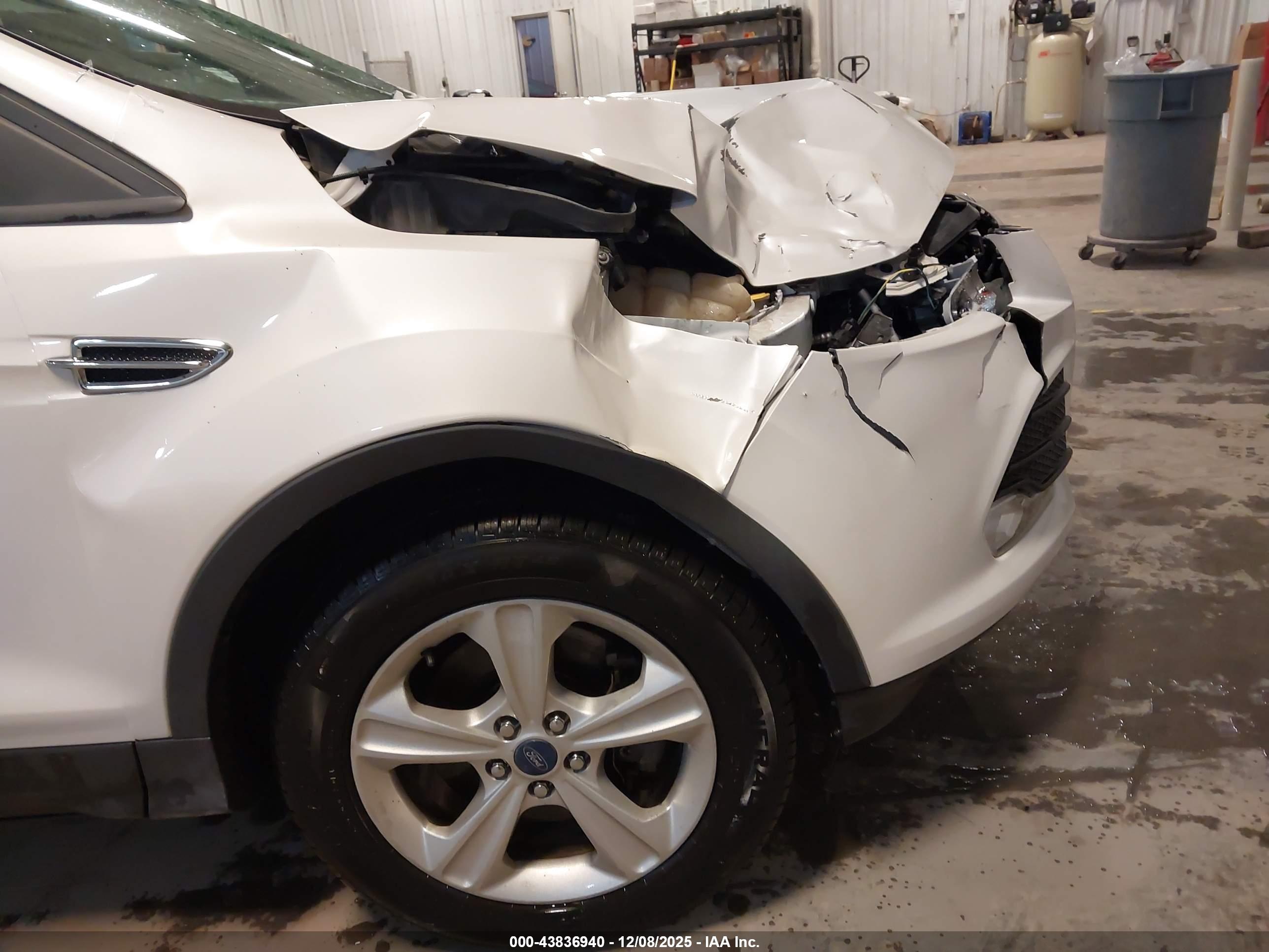 FORD ESCAPE image 6