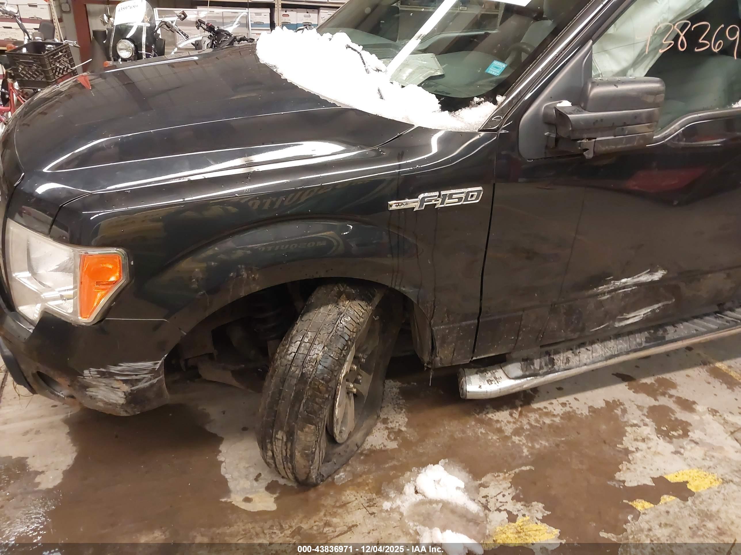 FORD F-150 image 6