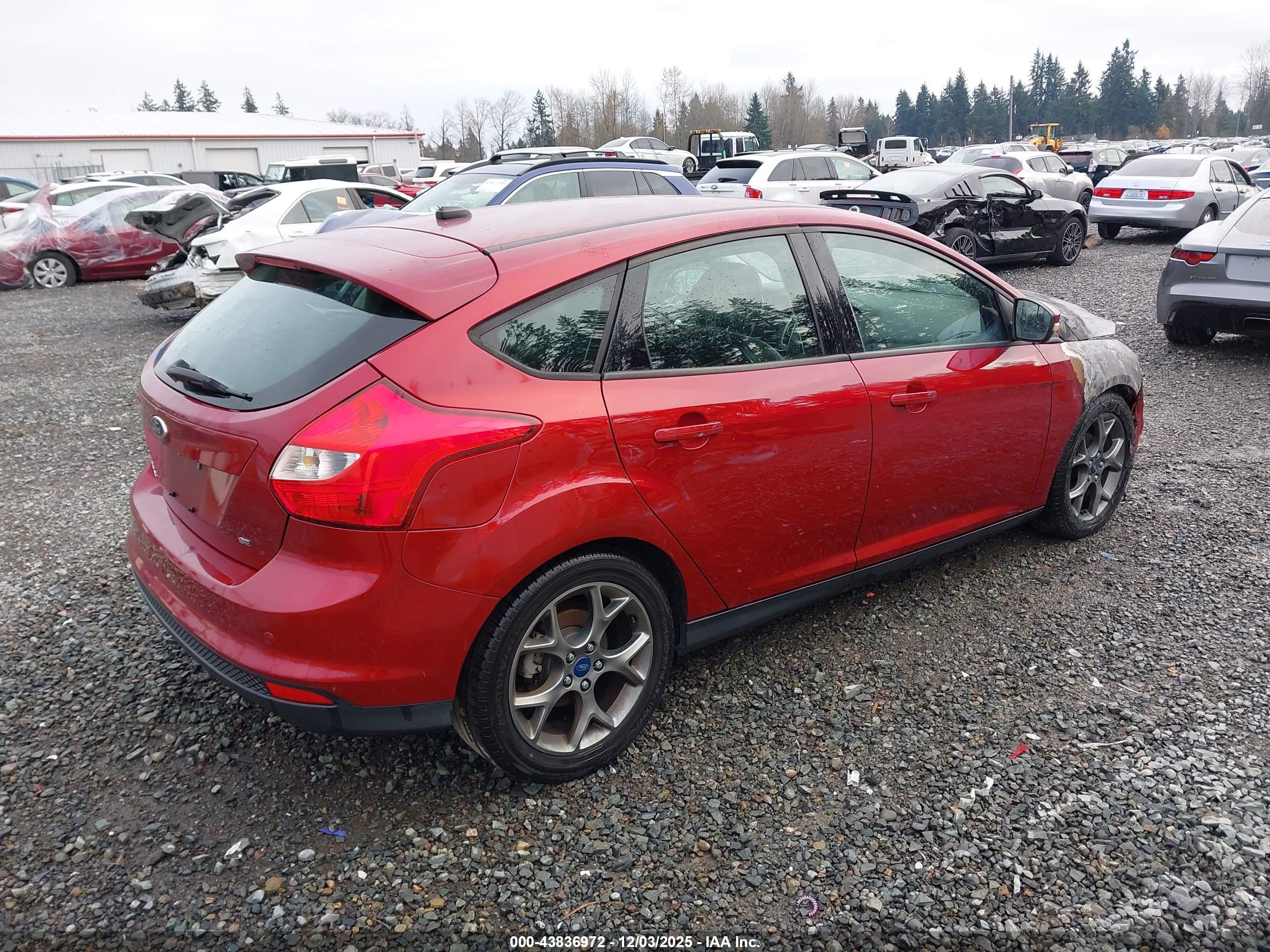 FORD FOCUS image 4