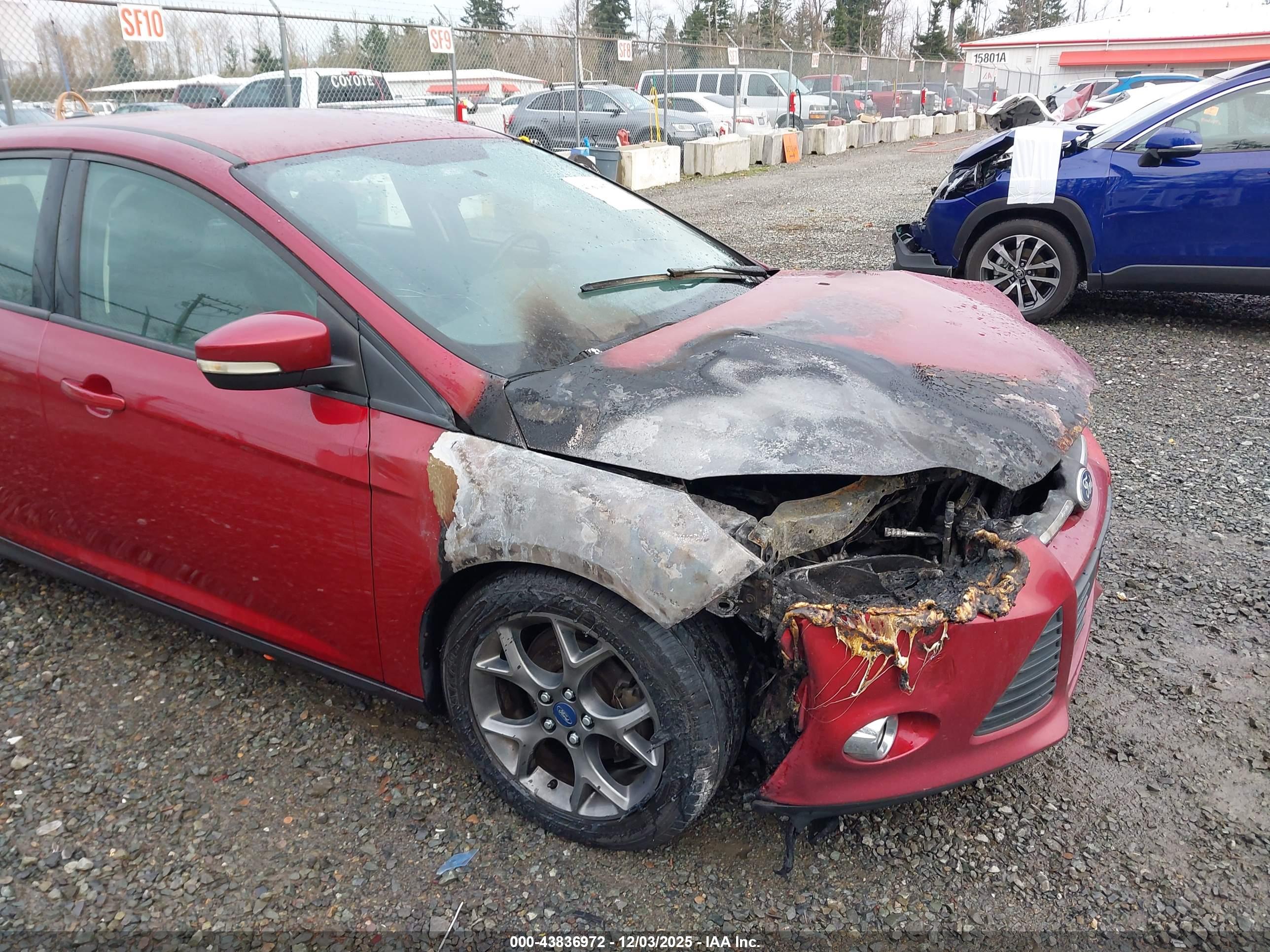 FORD FOCUS image 6
