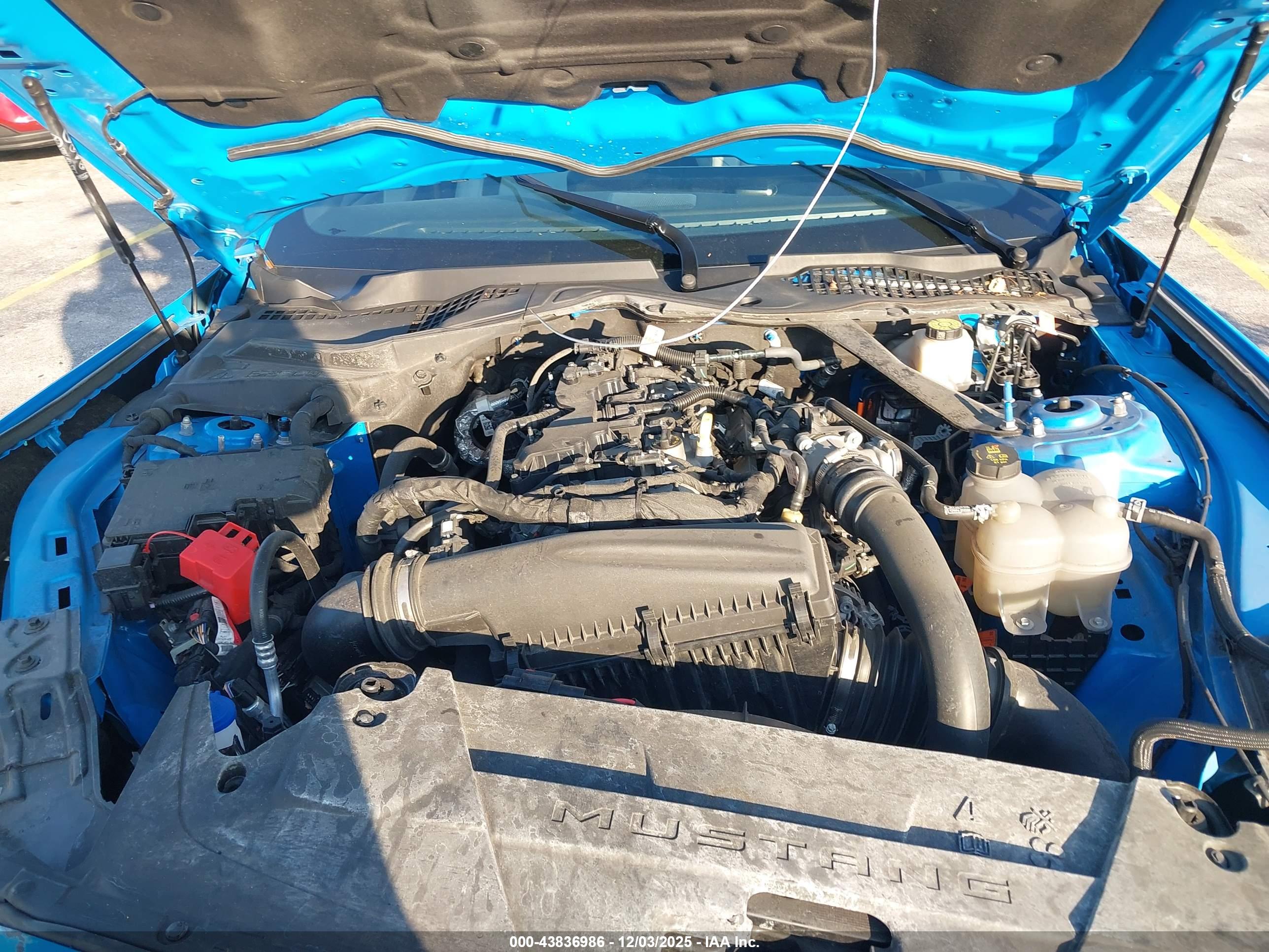 FORD MUSTANG image 10