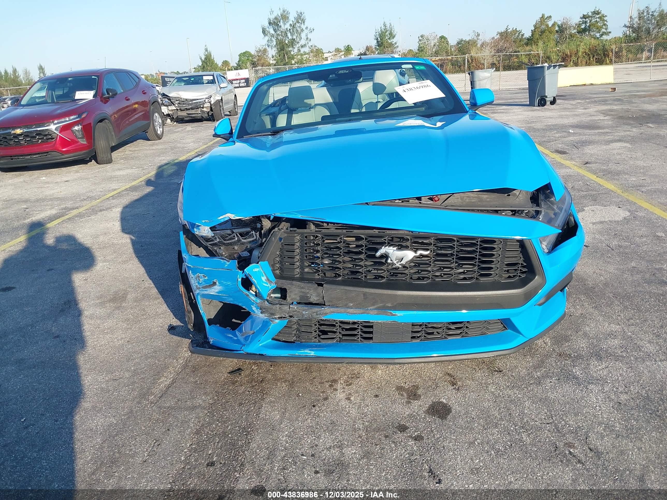 FORD MUSTANG image 6