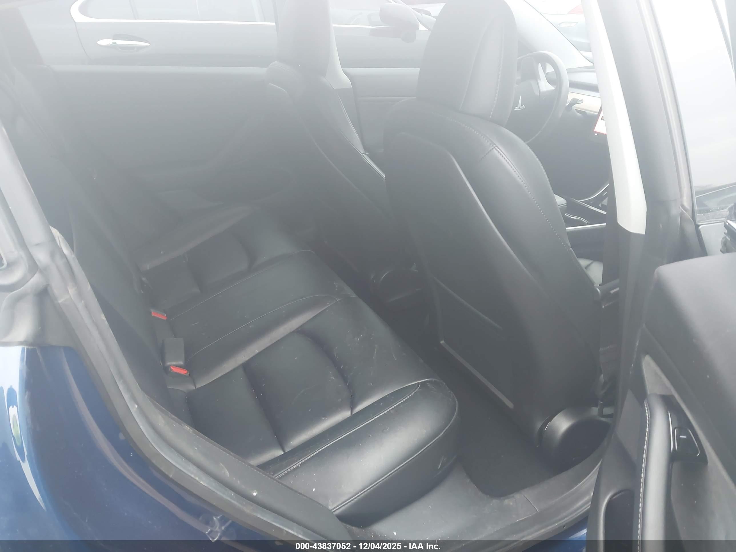 TESLA MODEL image 8