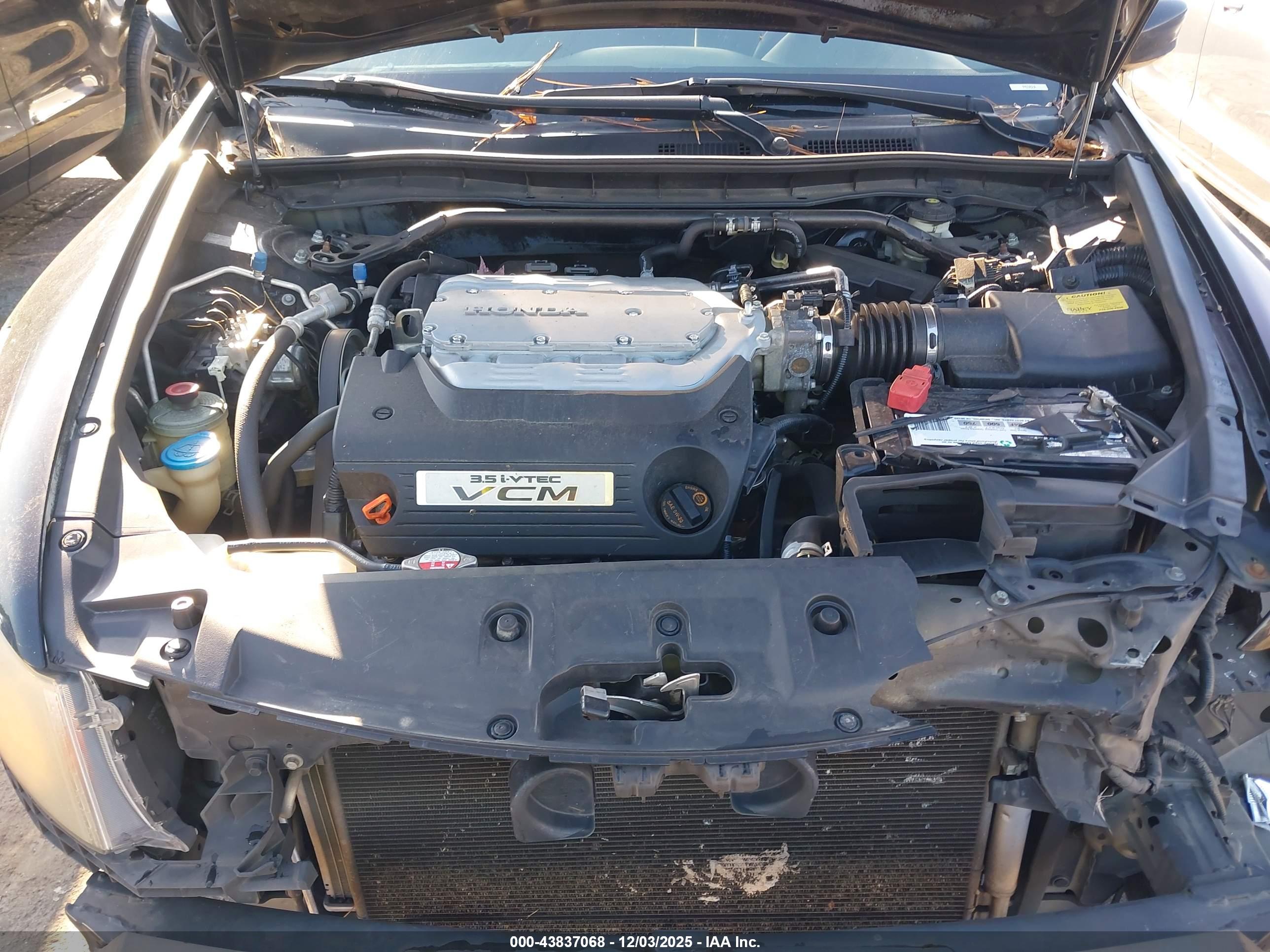 HONDA ACCORD image 10