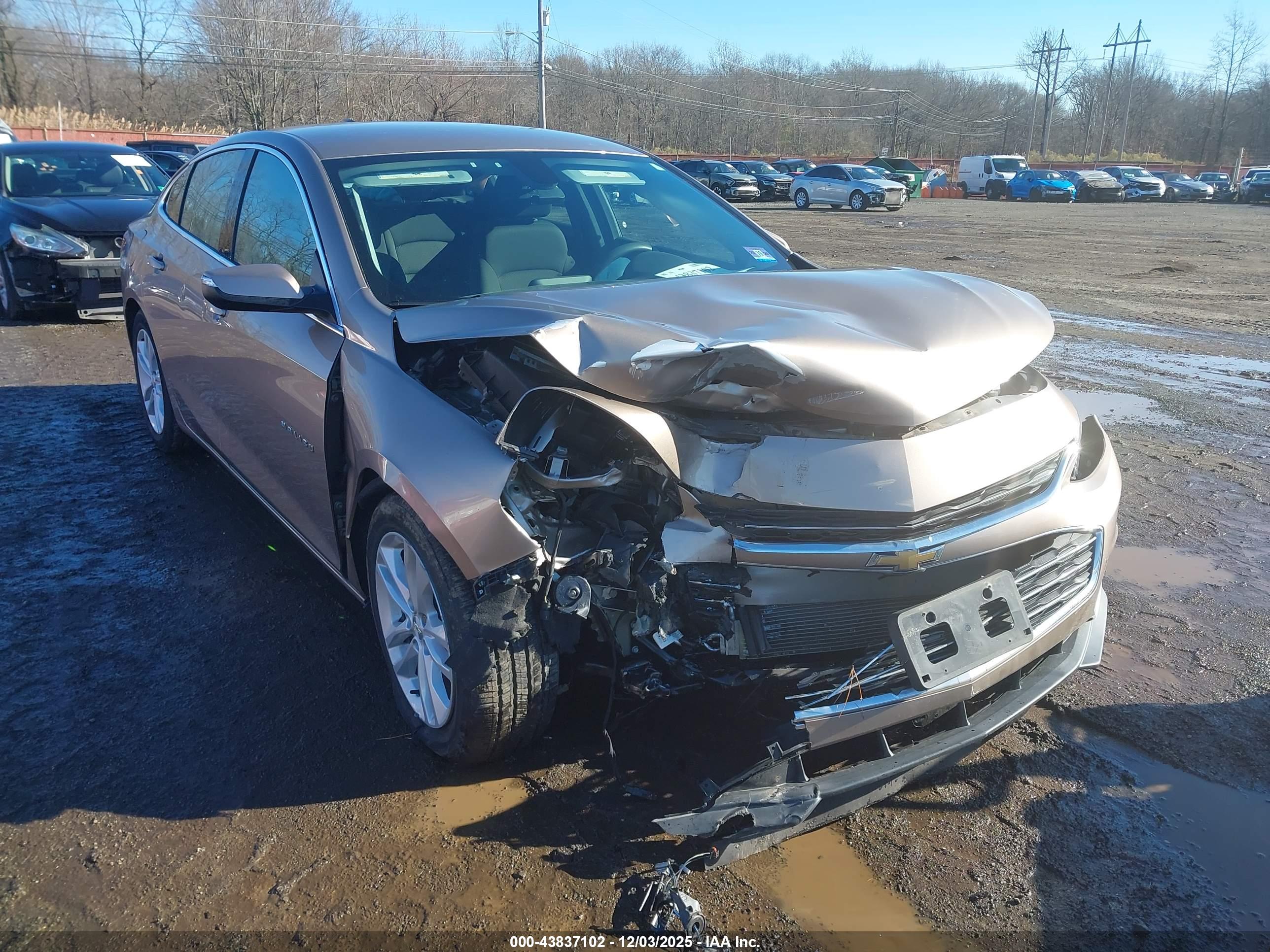 CHEVROLET MALIBU image 6