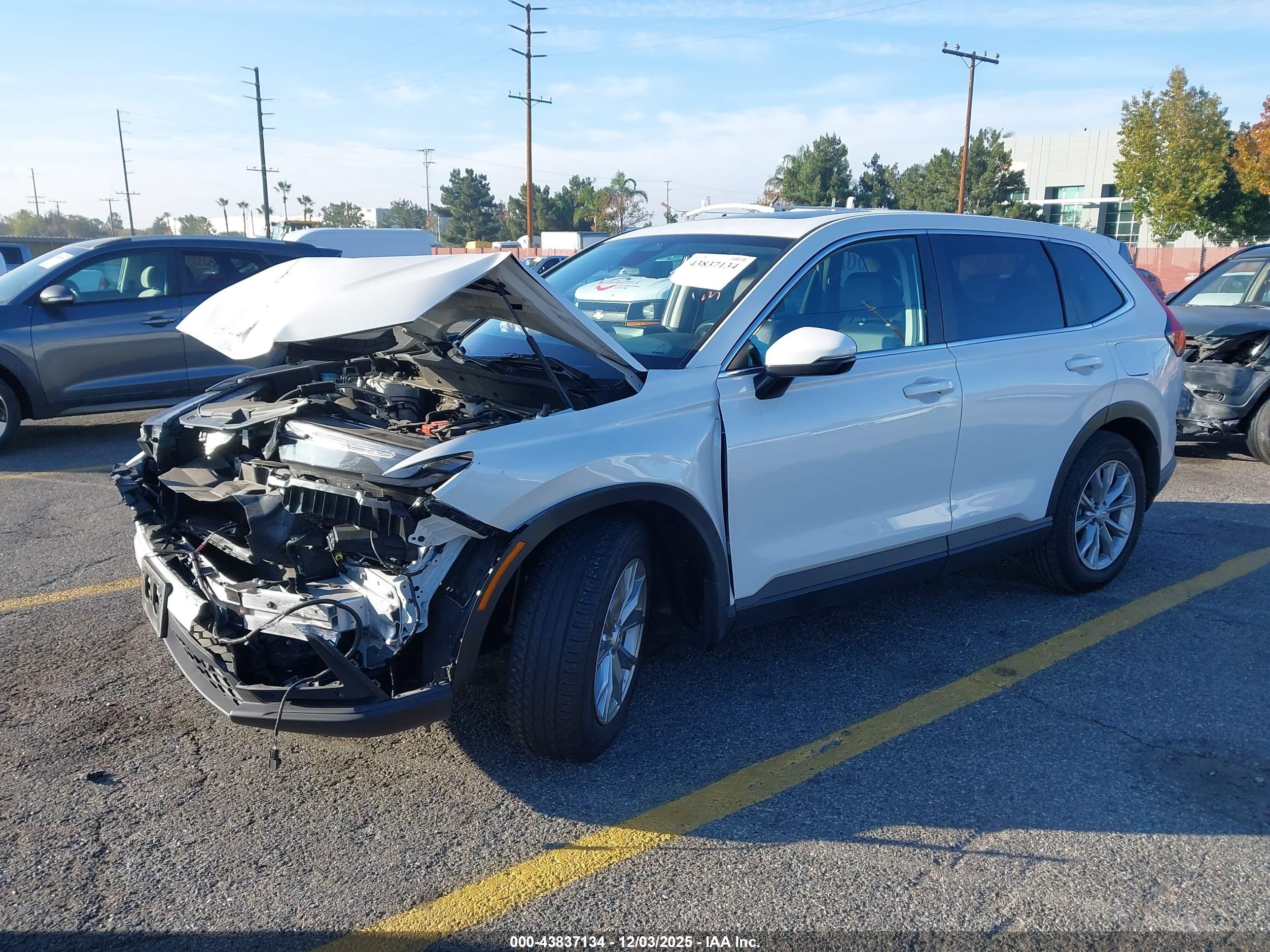 HONDA CR-V image 2