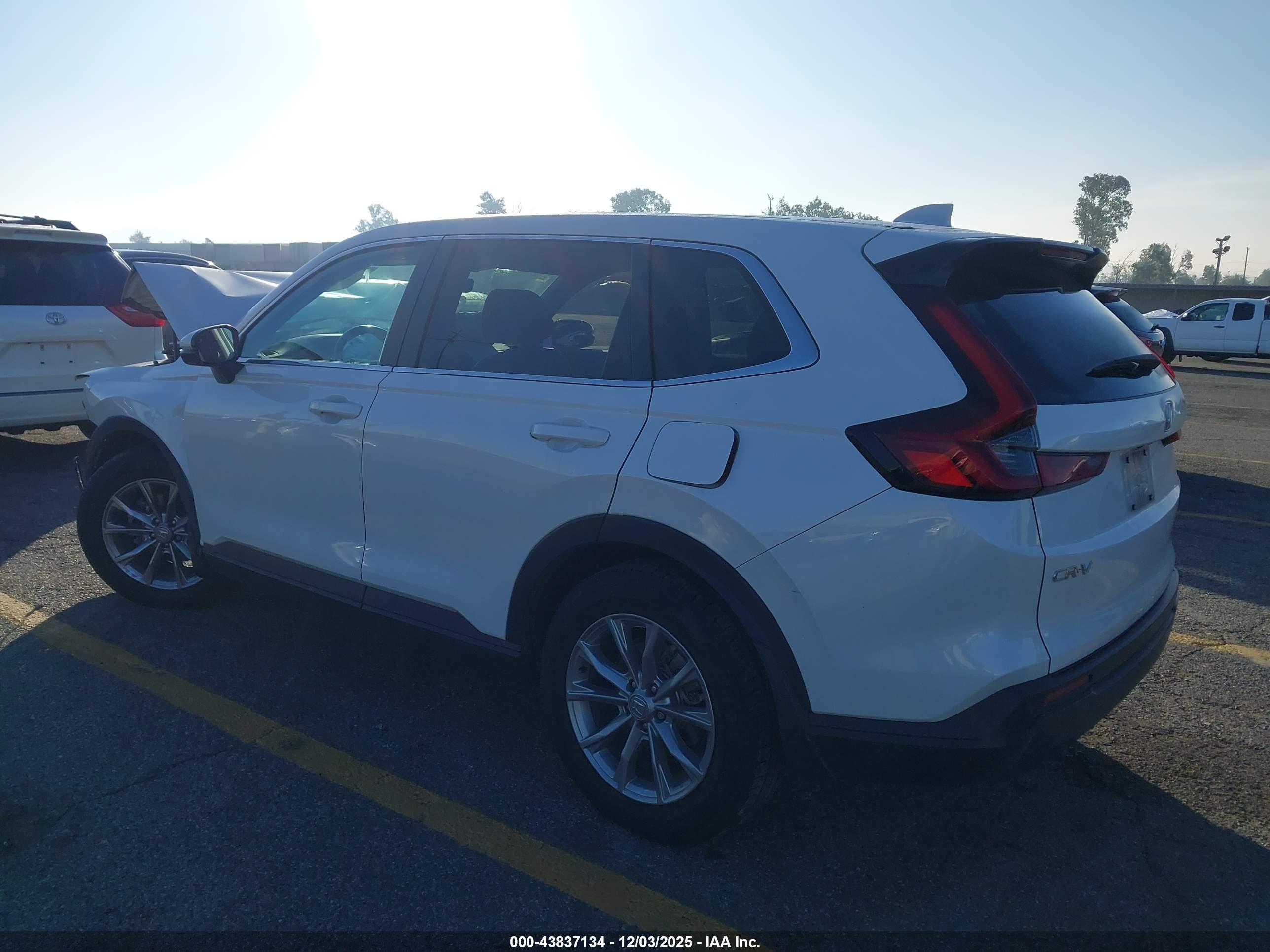 HONDA CR-V image 3