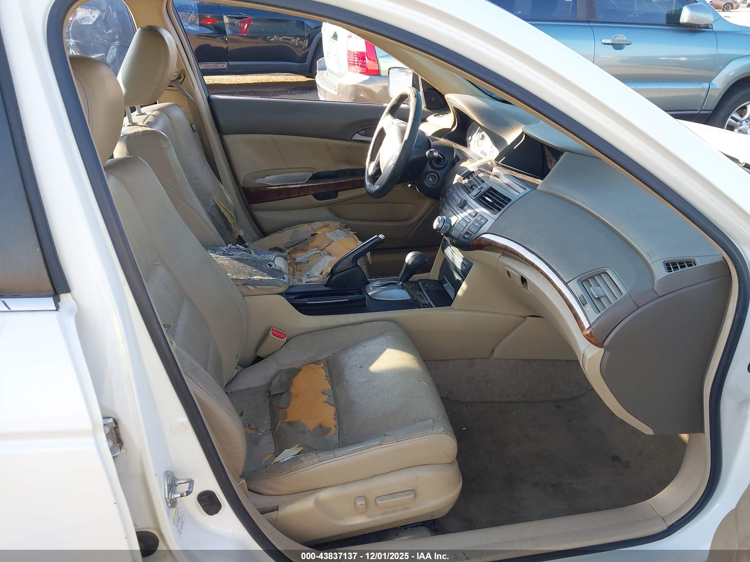HONDA ACCORD image 5