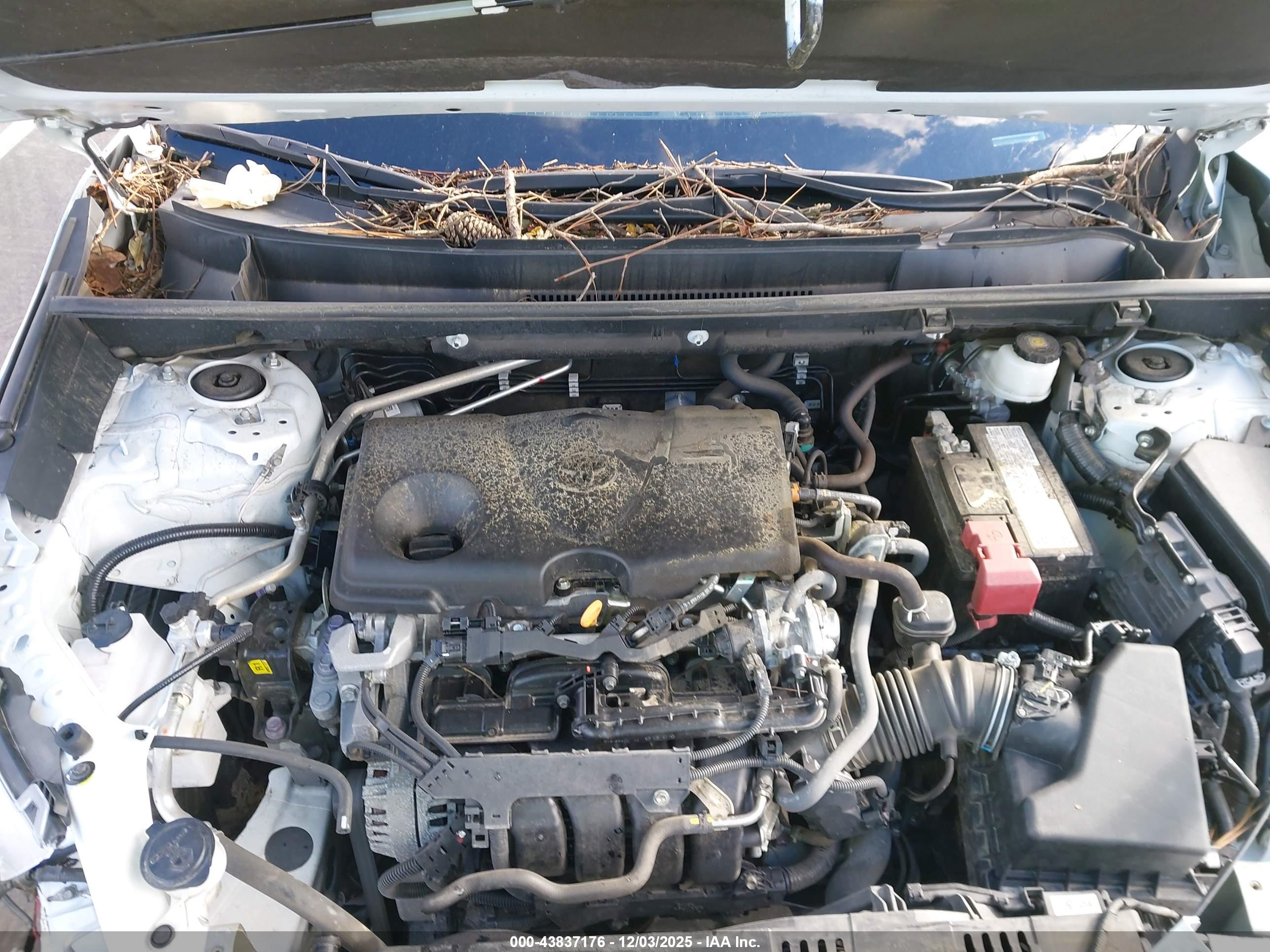 TOYOTA RAV4 image 10