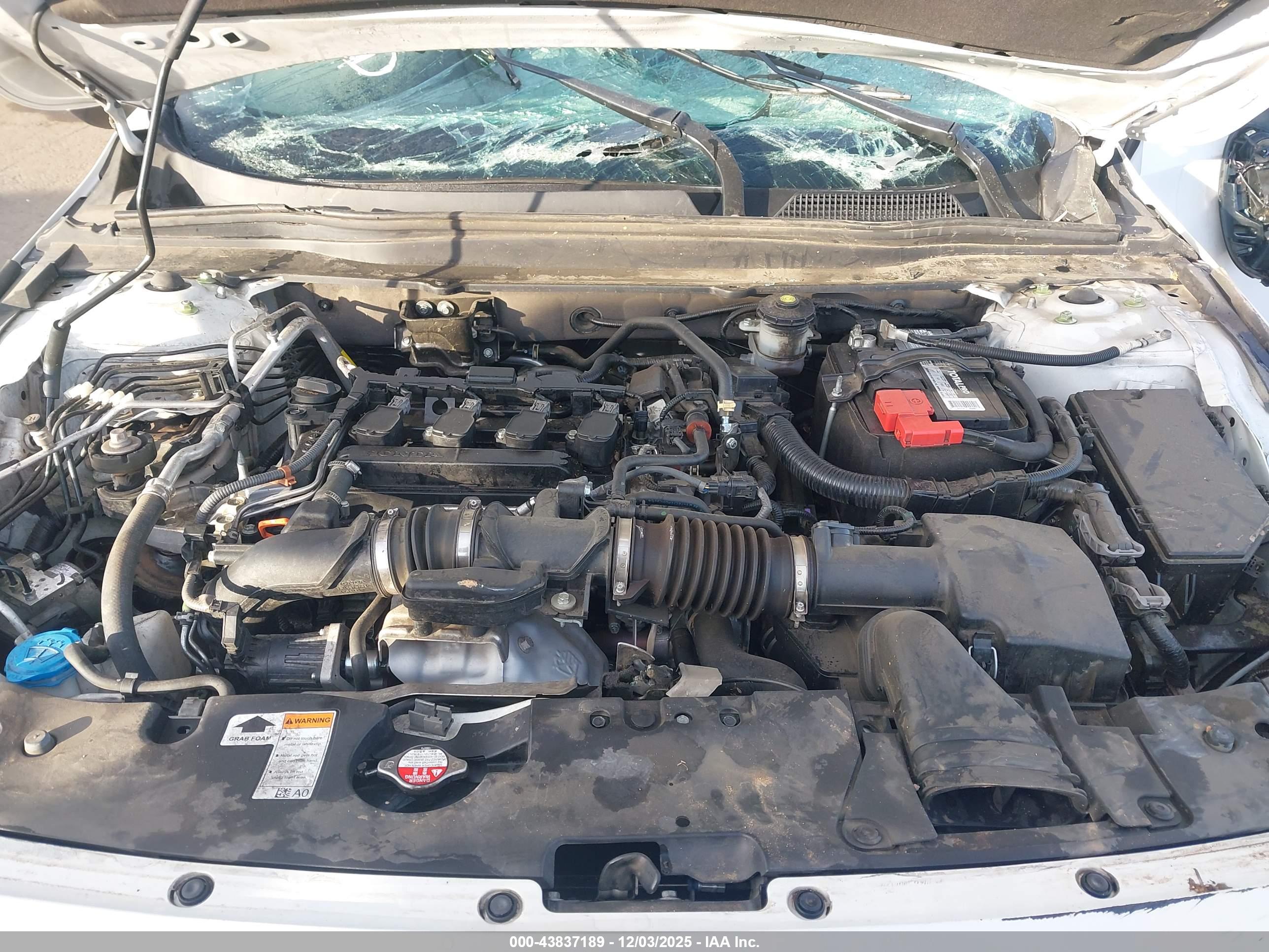 HONDA ACCORD image 10